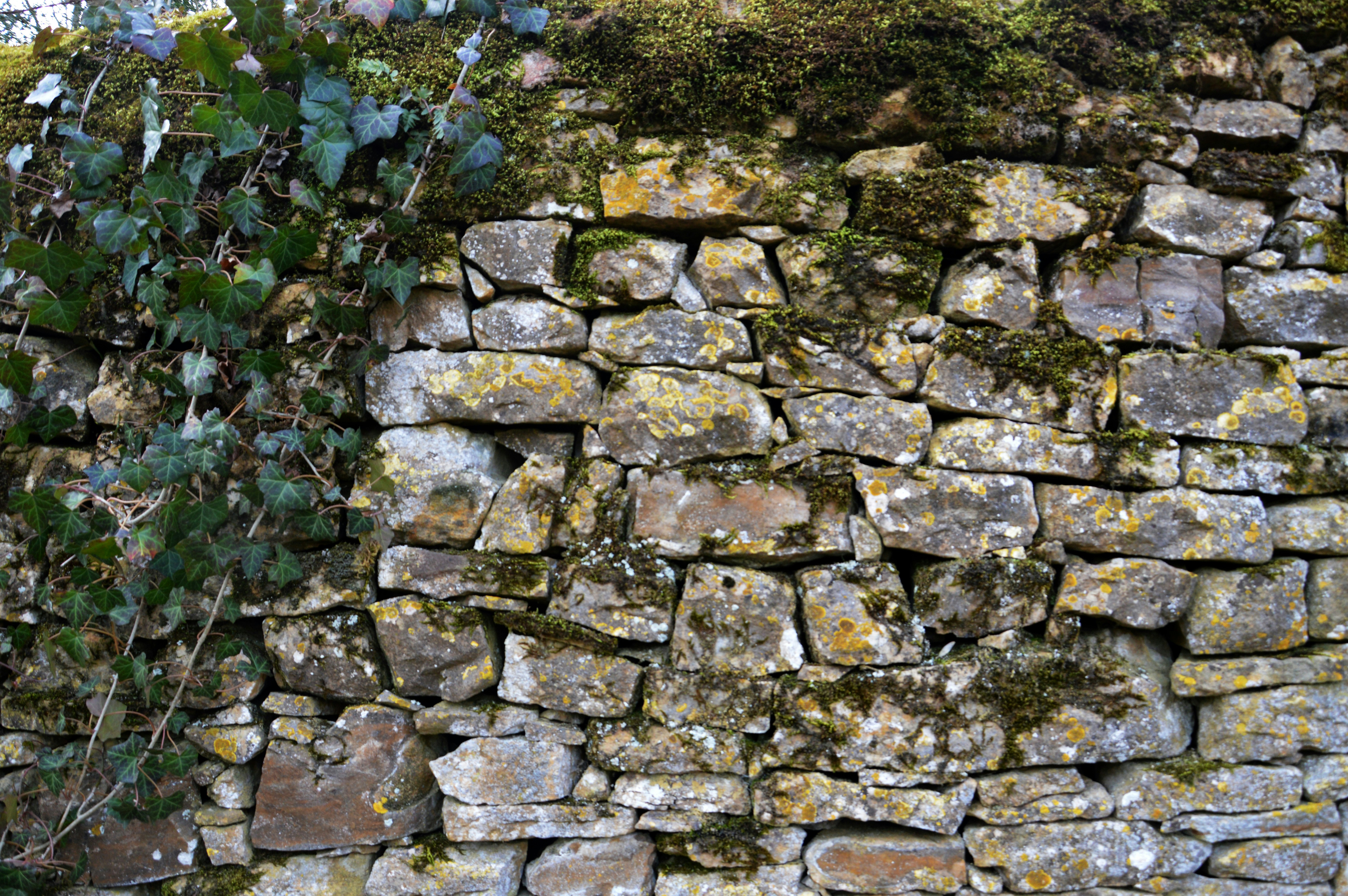 Photo by jessica_rigollot