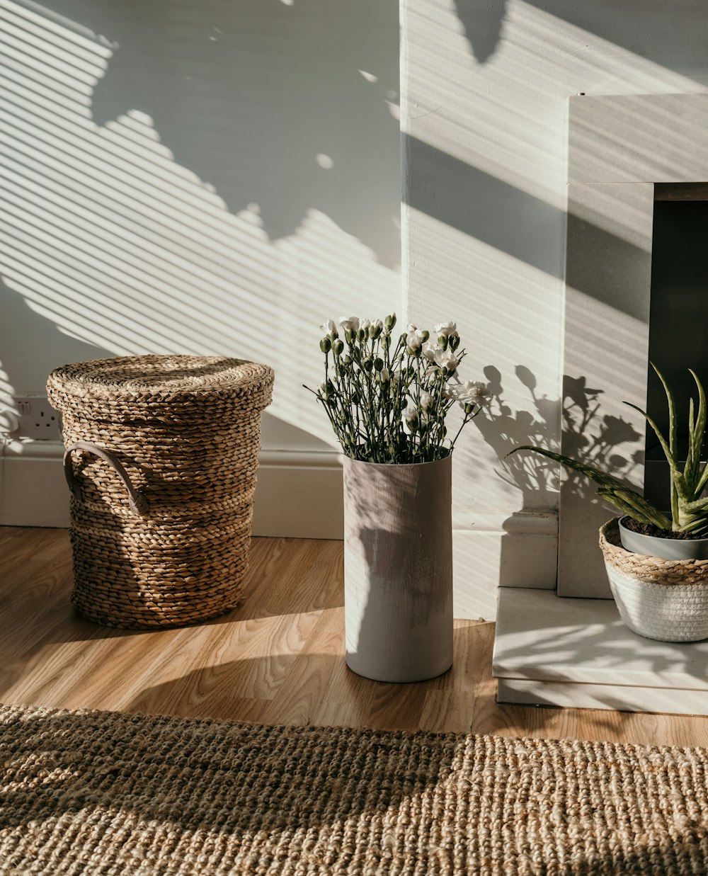 green plant in white ceramic vase