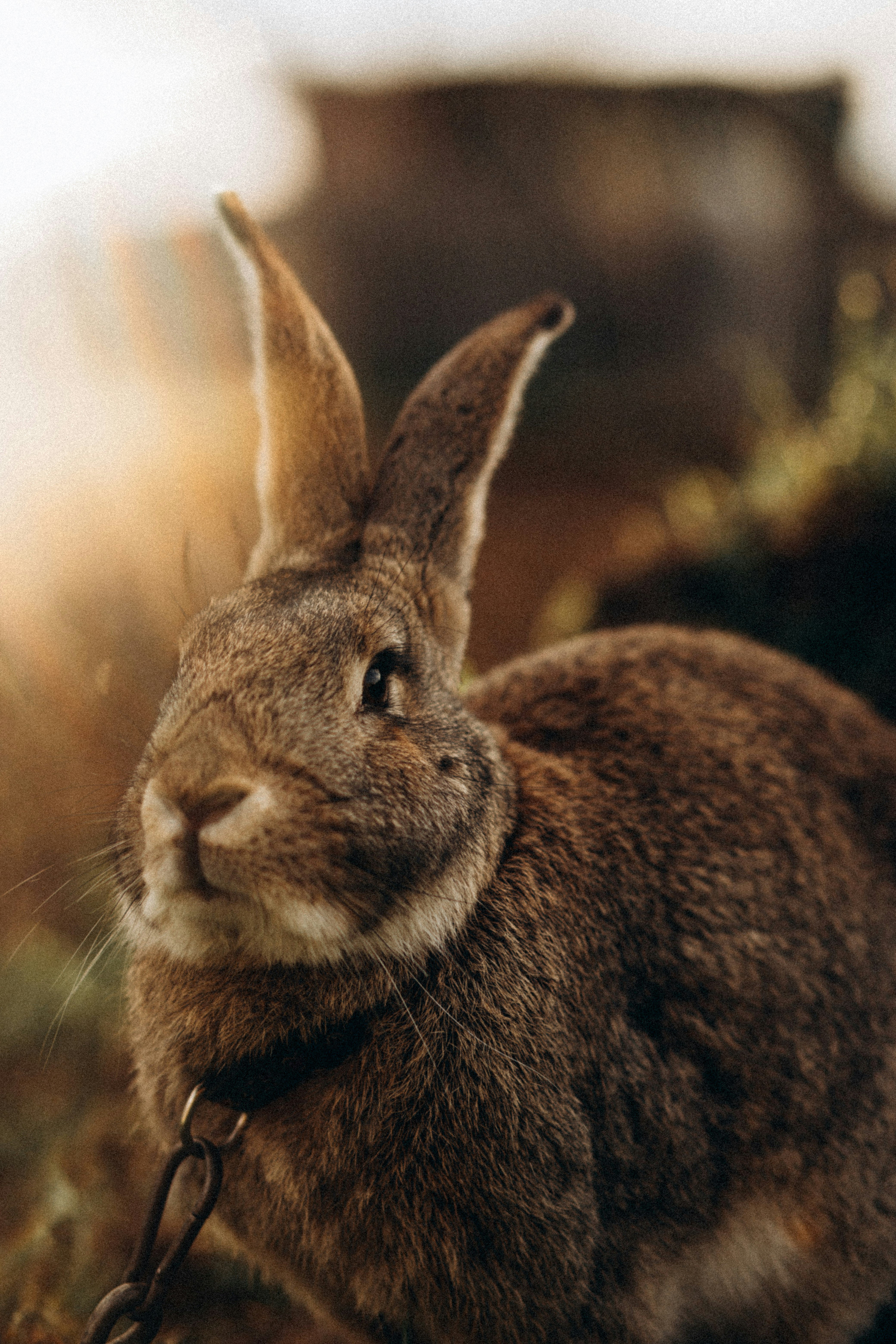 Photo by elinaokolit