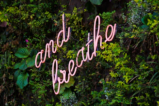 white and green happy new year signage