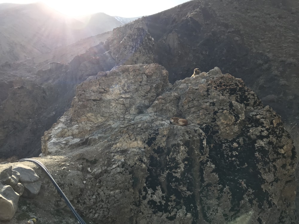 brown rocky mountain during daytime