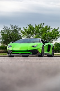 green and black lamborghini aventador parked on brown field during daytime