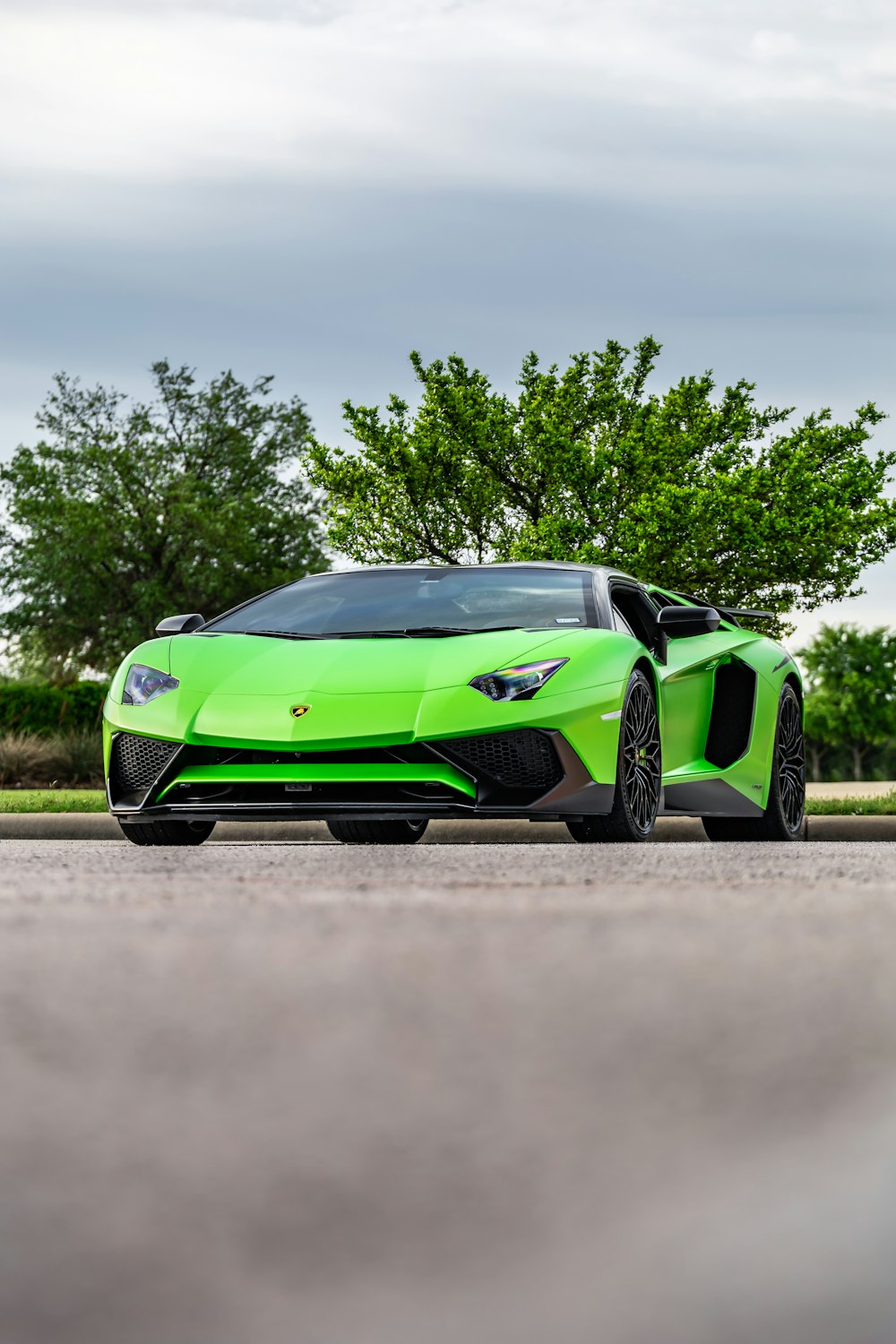 Grüner und schwarzer Lamborghini Aventador parkt tagsüber auf braunem Feld