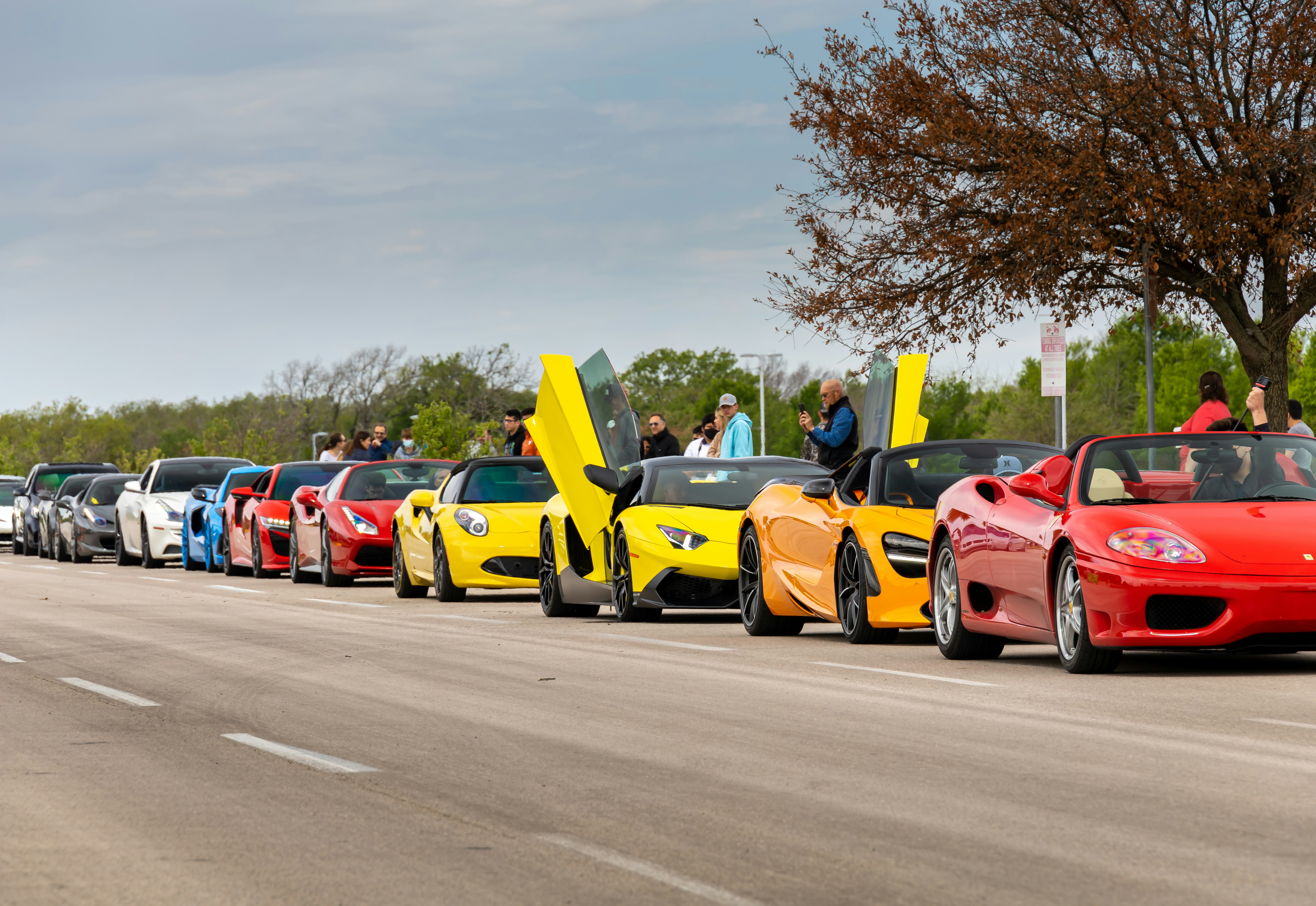 Row of different electric cars showing brand logos on their front grilles