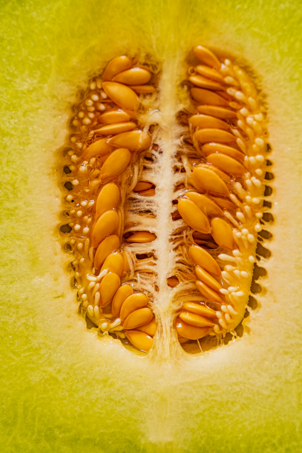 yellow and green sliced fruit