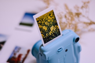 A blue instant camera with a photograph emerging from it. The photograph features a field of yellow flowers. In the blurred background, more photos and some dried plants are visible, creating a soft focus effect.