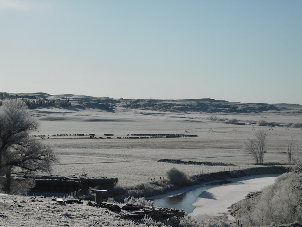 snow covered field during daytime