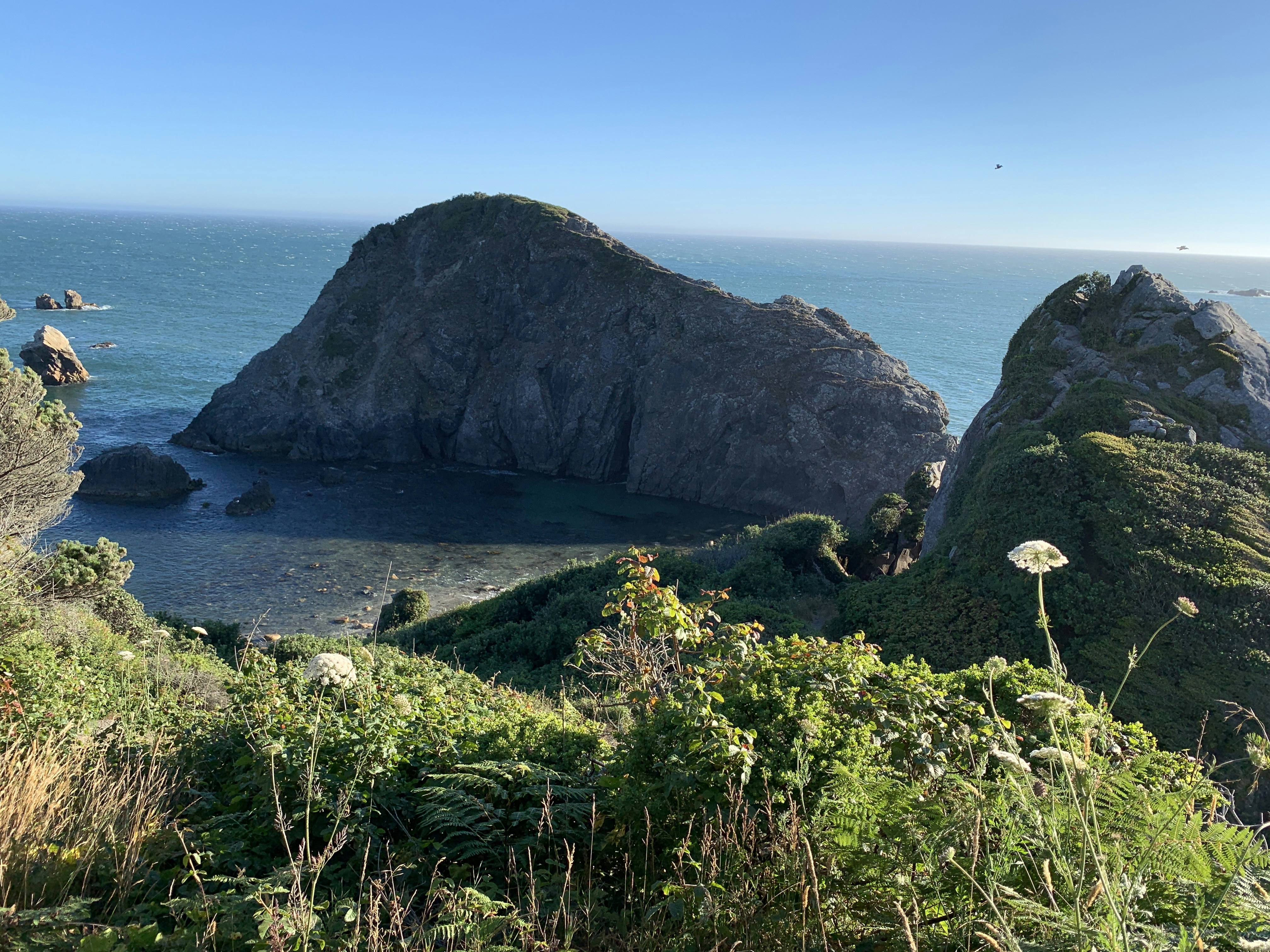 green grass on rocky mountain by the sea during daytime, View of the cove at Harris Beach State Park from the highway looking over the Pacific ocean with Queen Ann