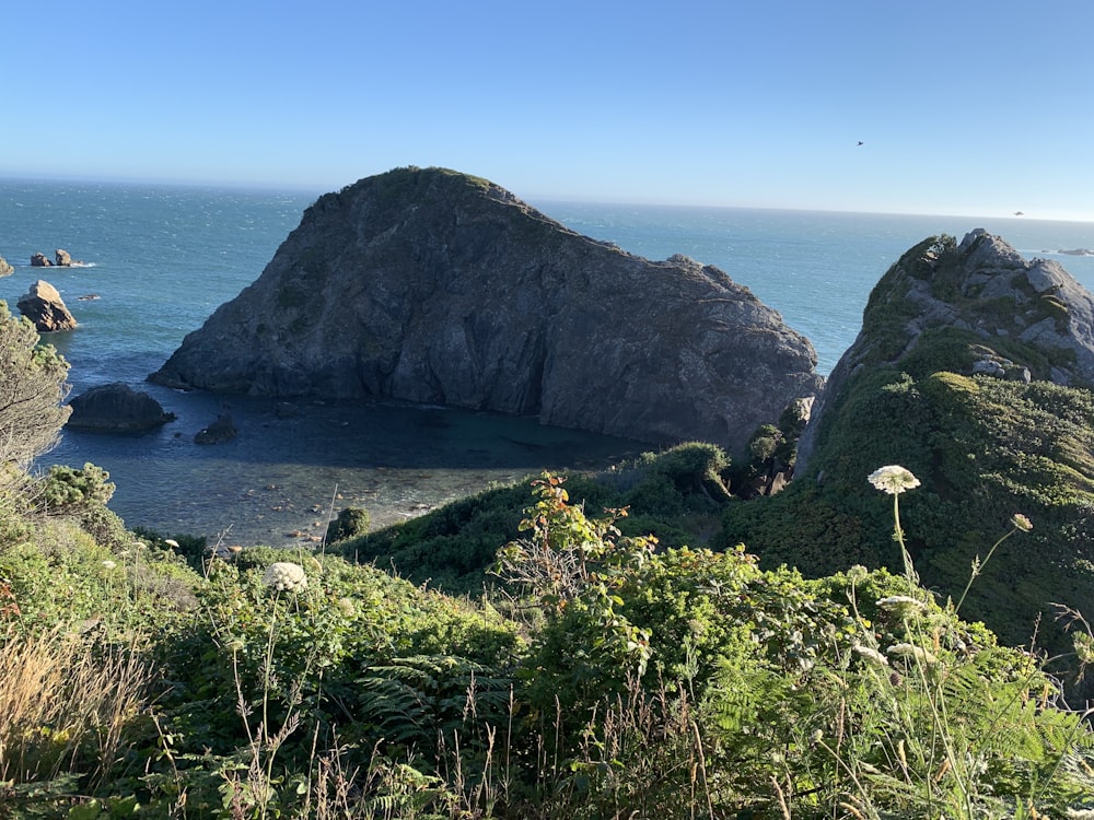 昼間の海沿いのロッキー山脈の緑の芝生