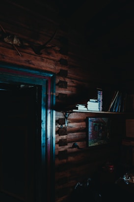 A dimly lit wooden interior with rustic decor, featuring a wooden wall with visible log design. A shelf is attached to the wall, holding an assortment of books and a painting. There are antlers mounted above the doorway and dim lighting casts shadows, creating a cozy yet mysterious atmosphere.