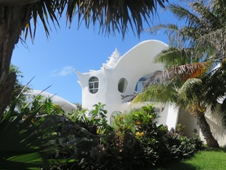 A uniquely designed white building with a shell-like structure, featuring circular windows and an artistic roof. Lush tropical plants and palm trees surround the building under a clear blue sky.