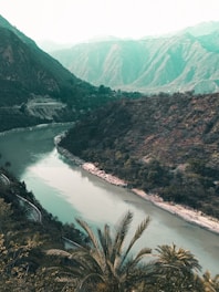 green trees on mountain near river during daytime