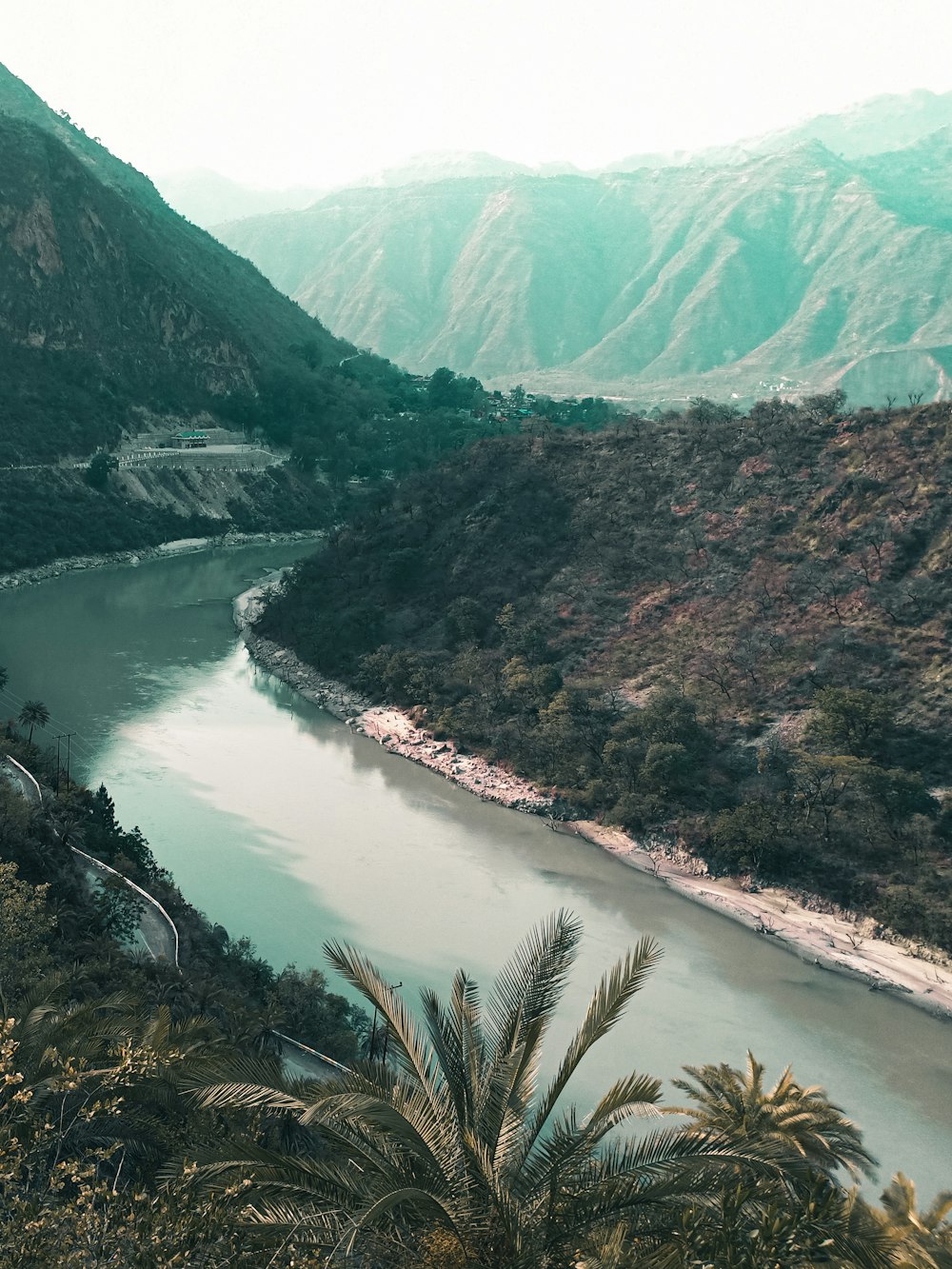 green trees on mountain near river during daytime