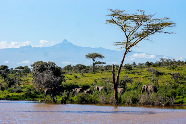 22-Day East Africa Budget Mountains & Nature Route