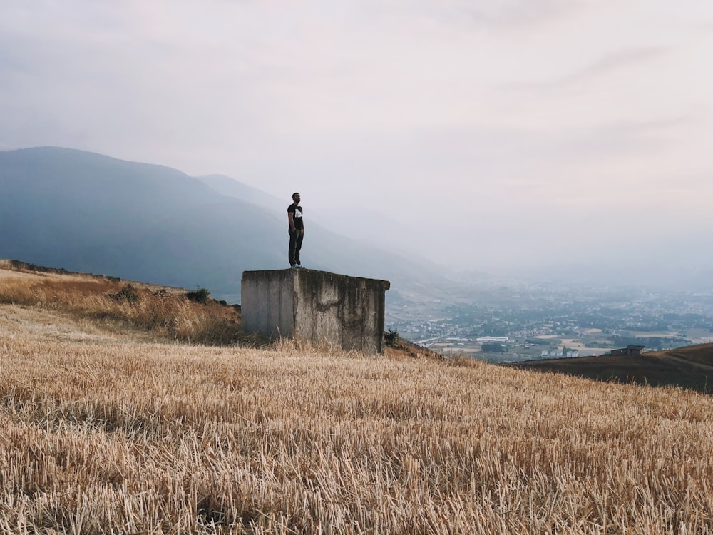 person standing on cliff near body of water during daytime