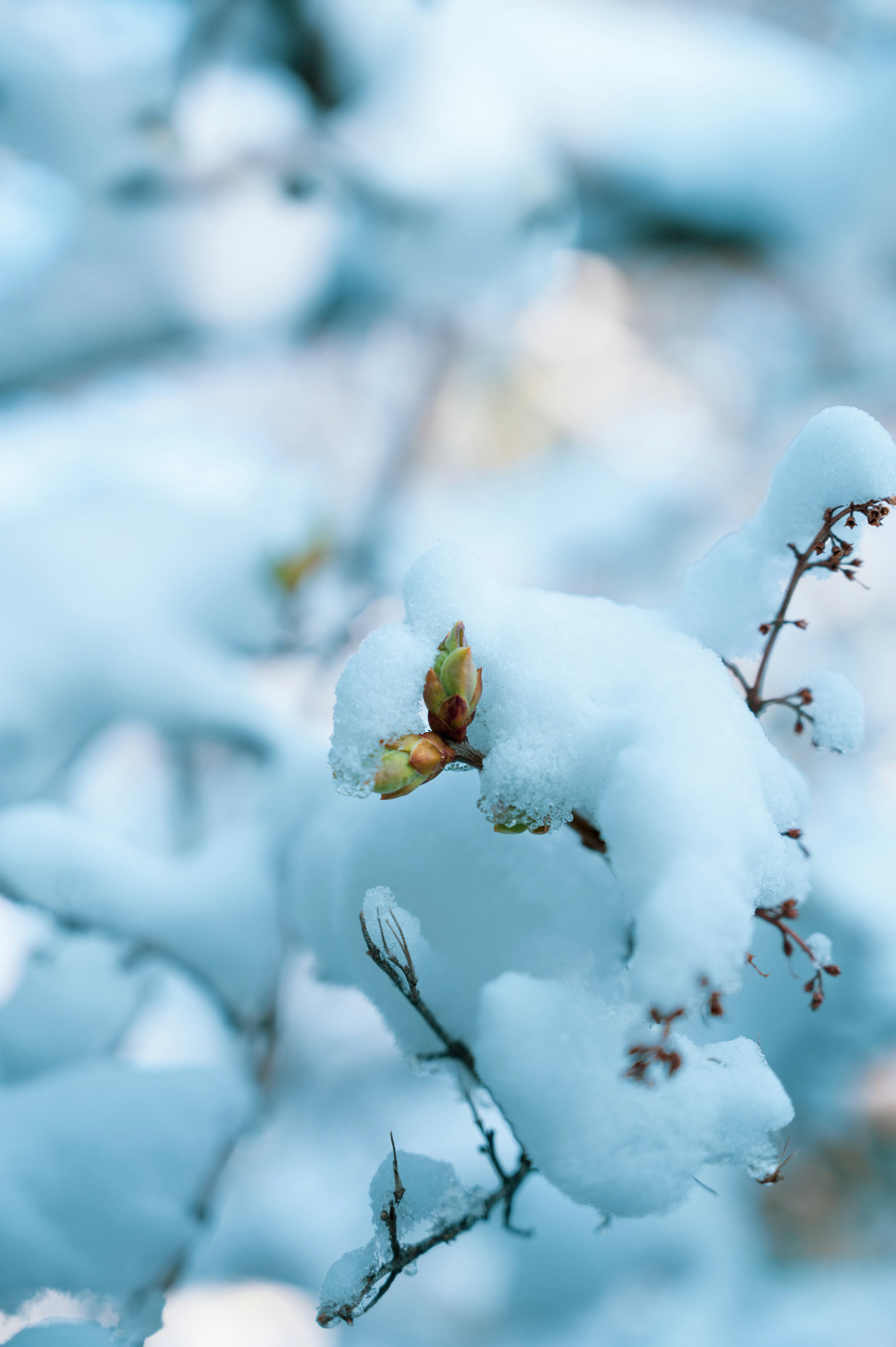 Photo by ryunosuke_kikuno