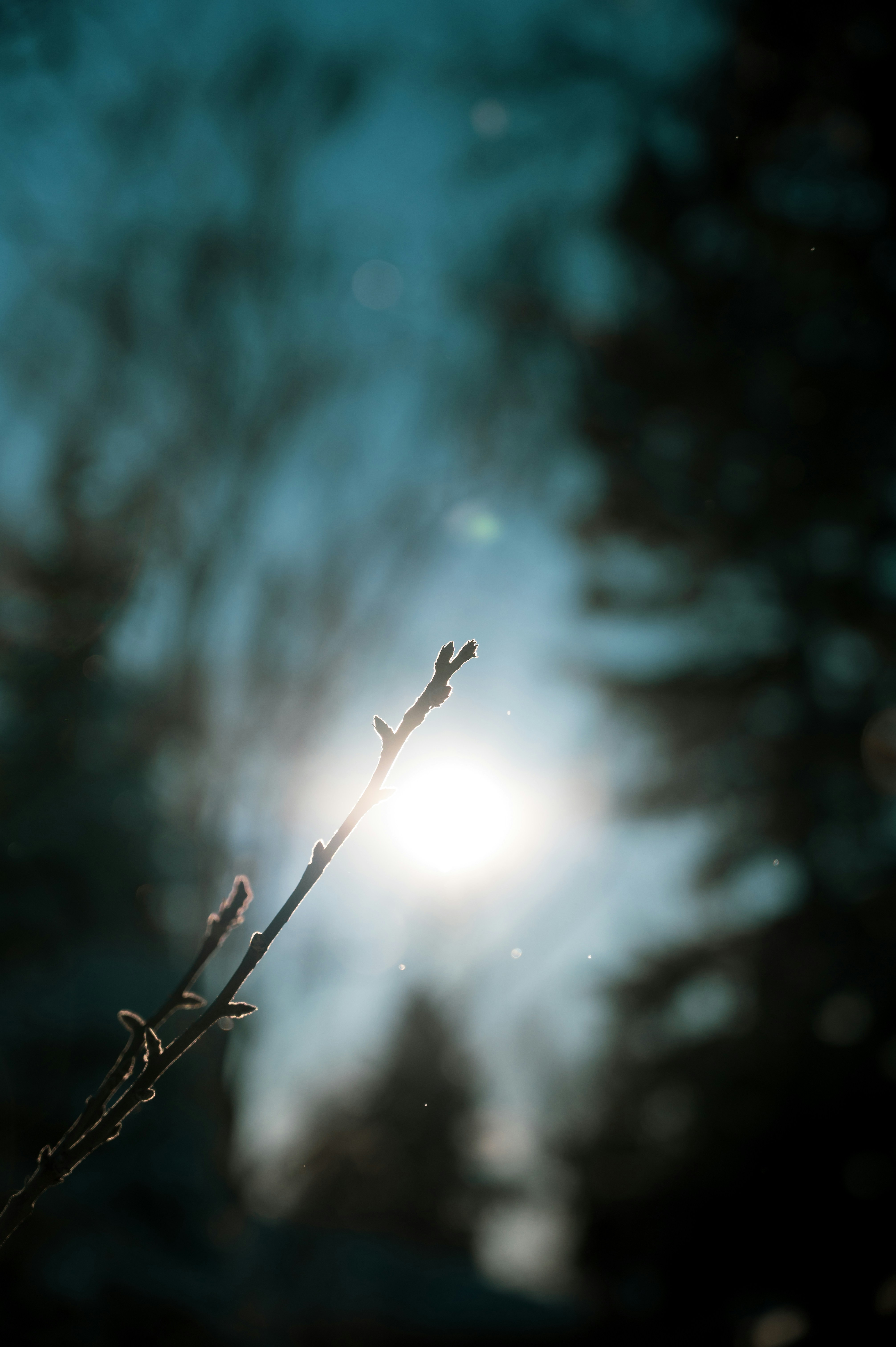 Photo by ryunosuke_kikuno