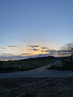 Evening shot of a quiet dirt road leading to newly available lands under open sky.