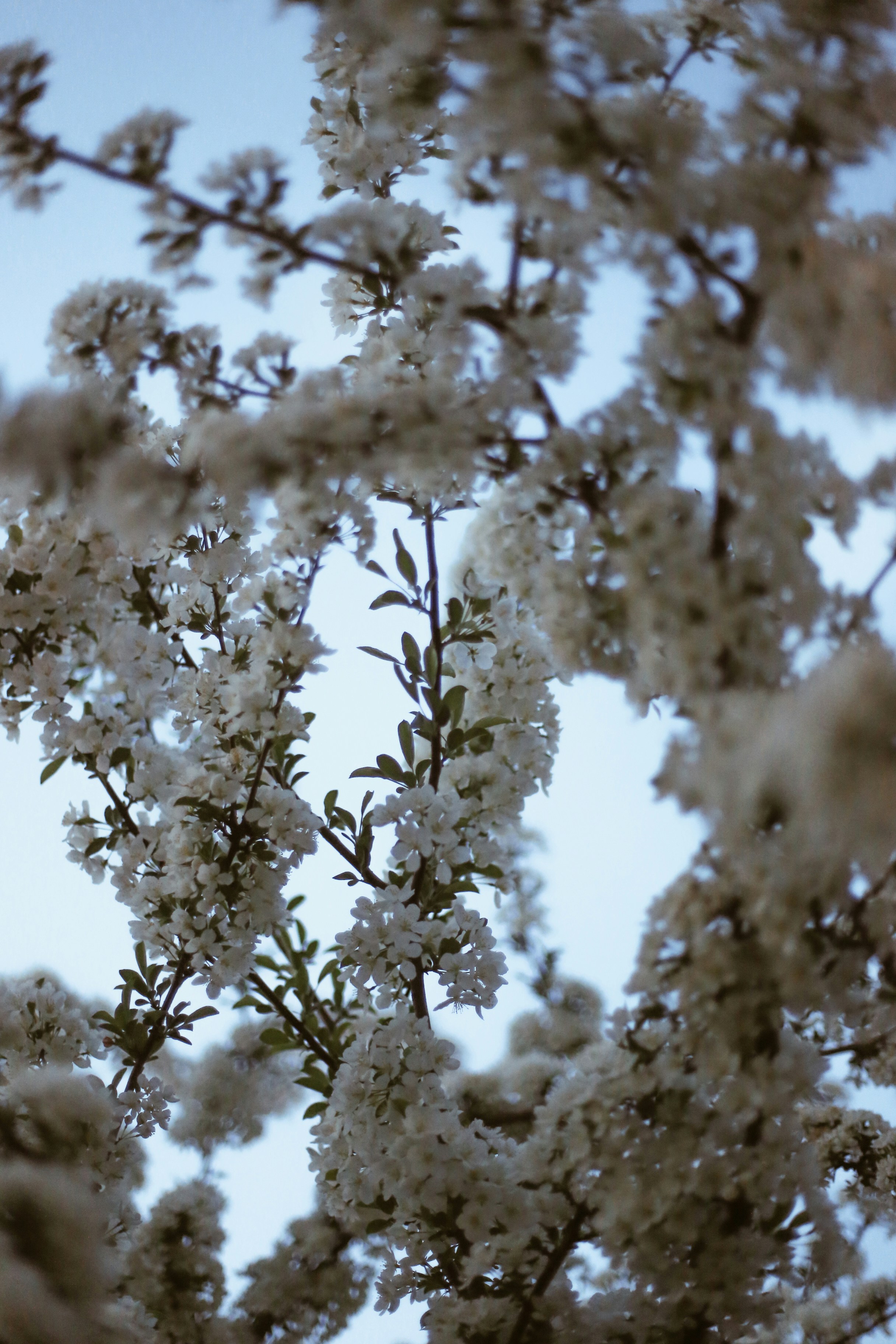 Photo by jessicalfadel