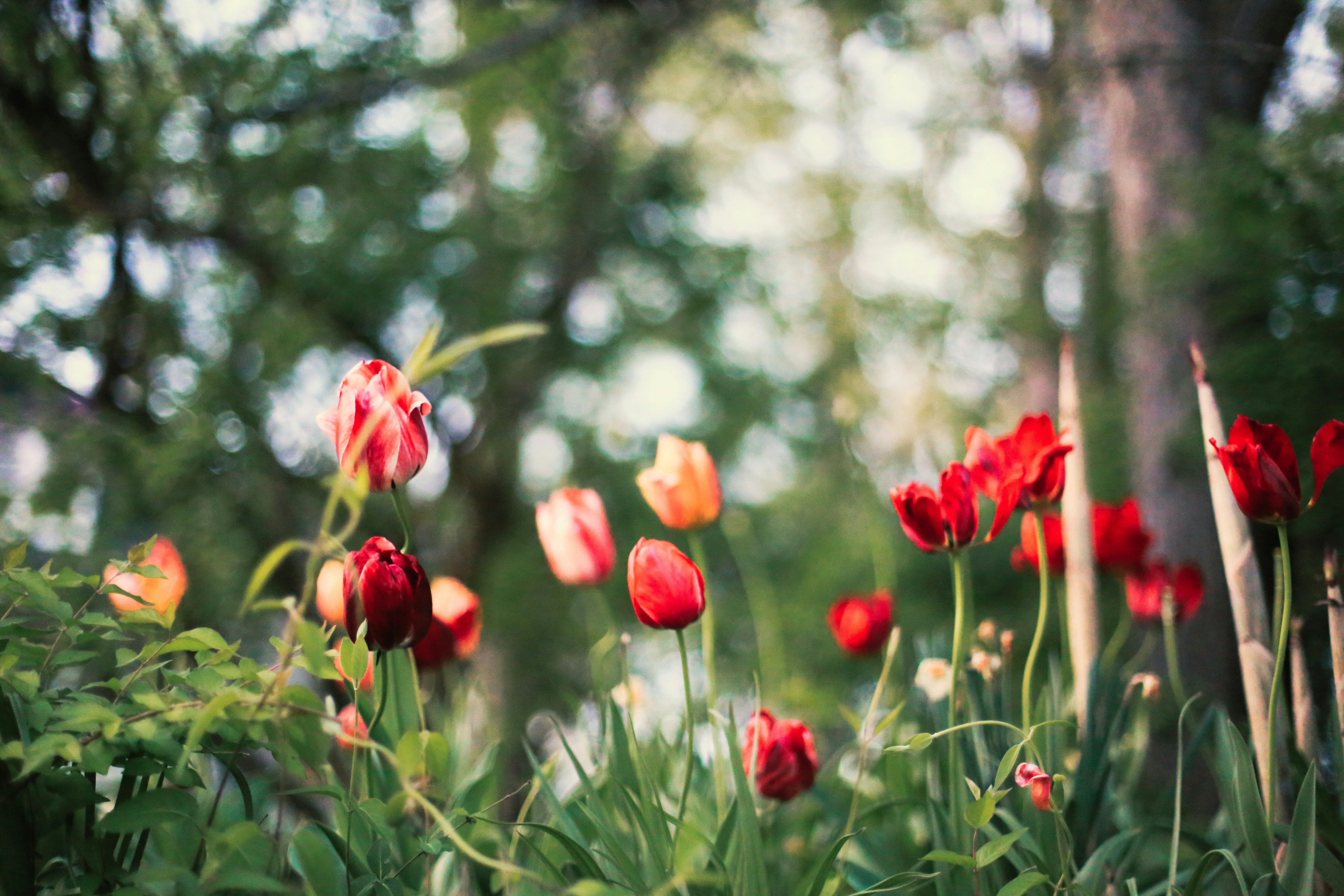 Photo by jessicalfadel