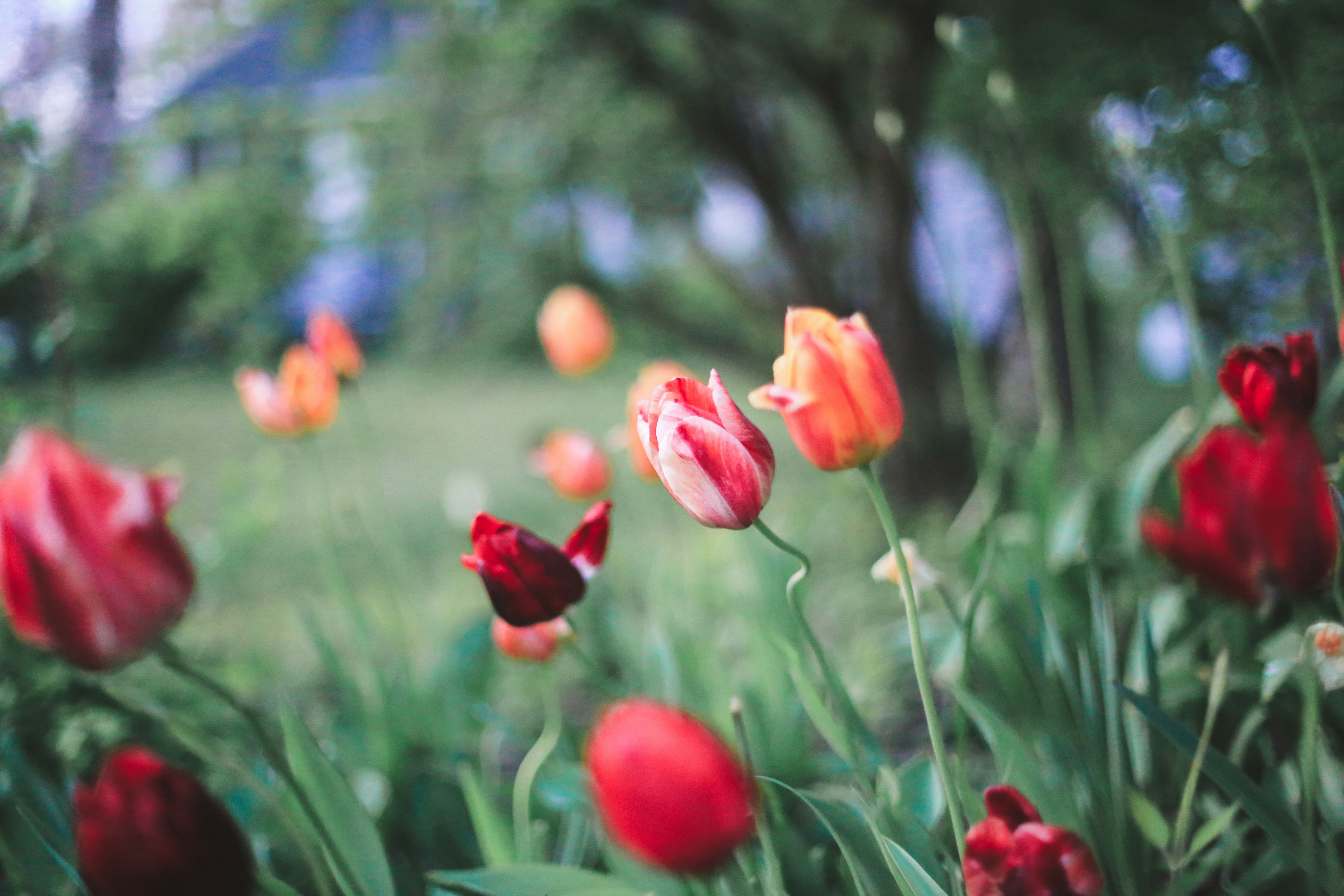 Photo by jessicalfadel