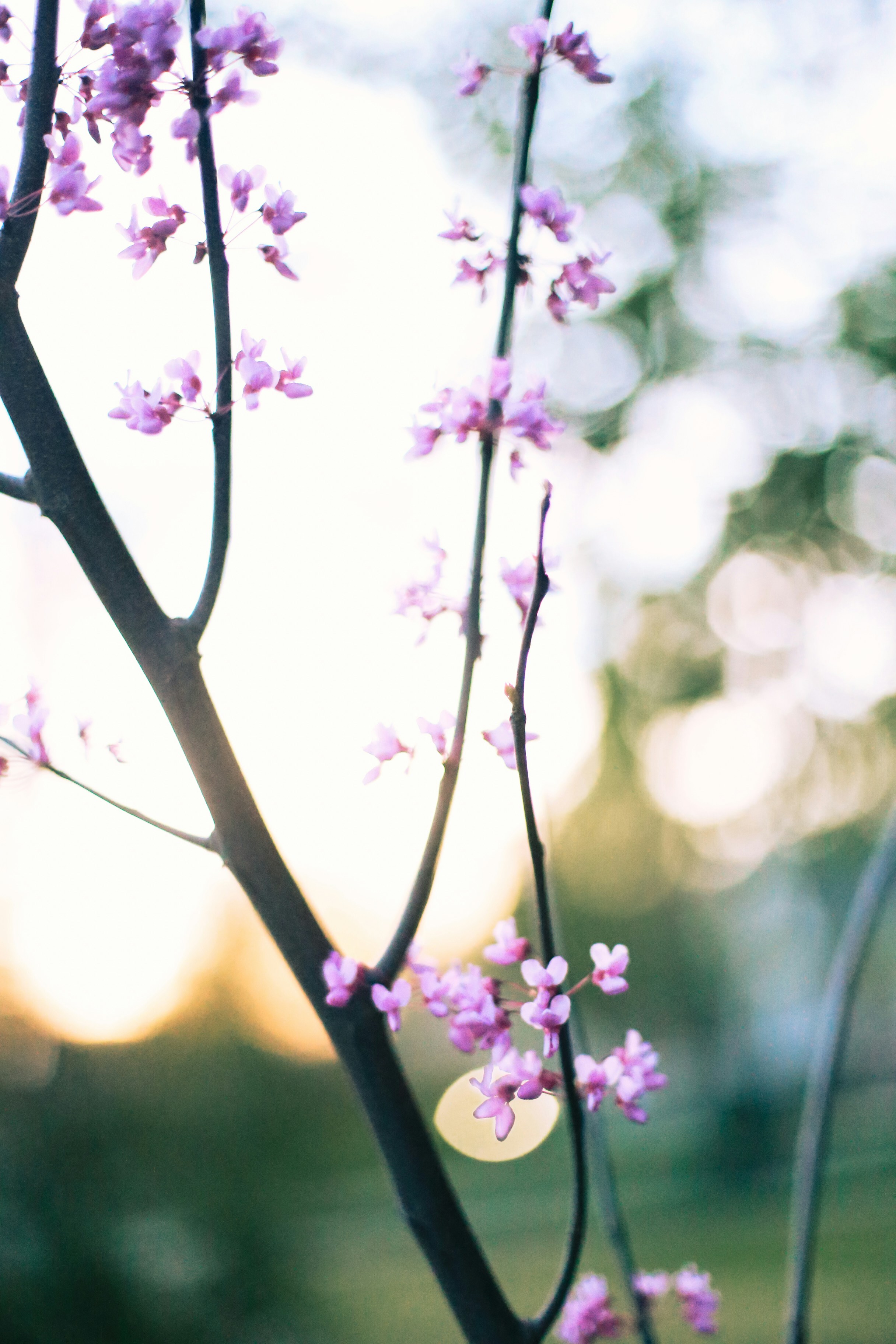 Photo by jessicalfadel