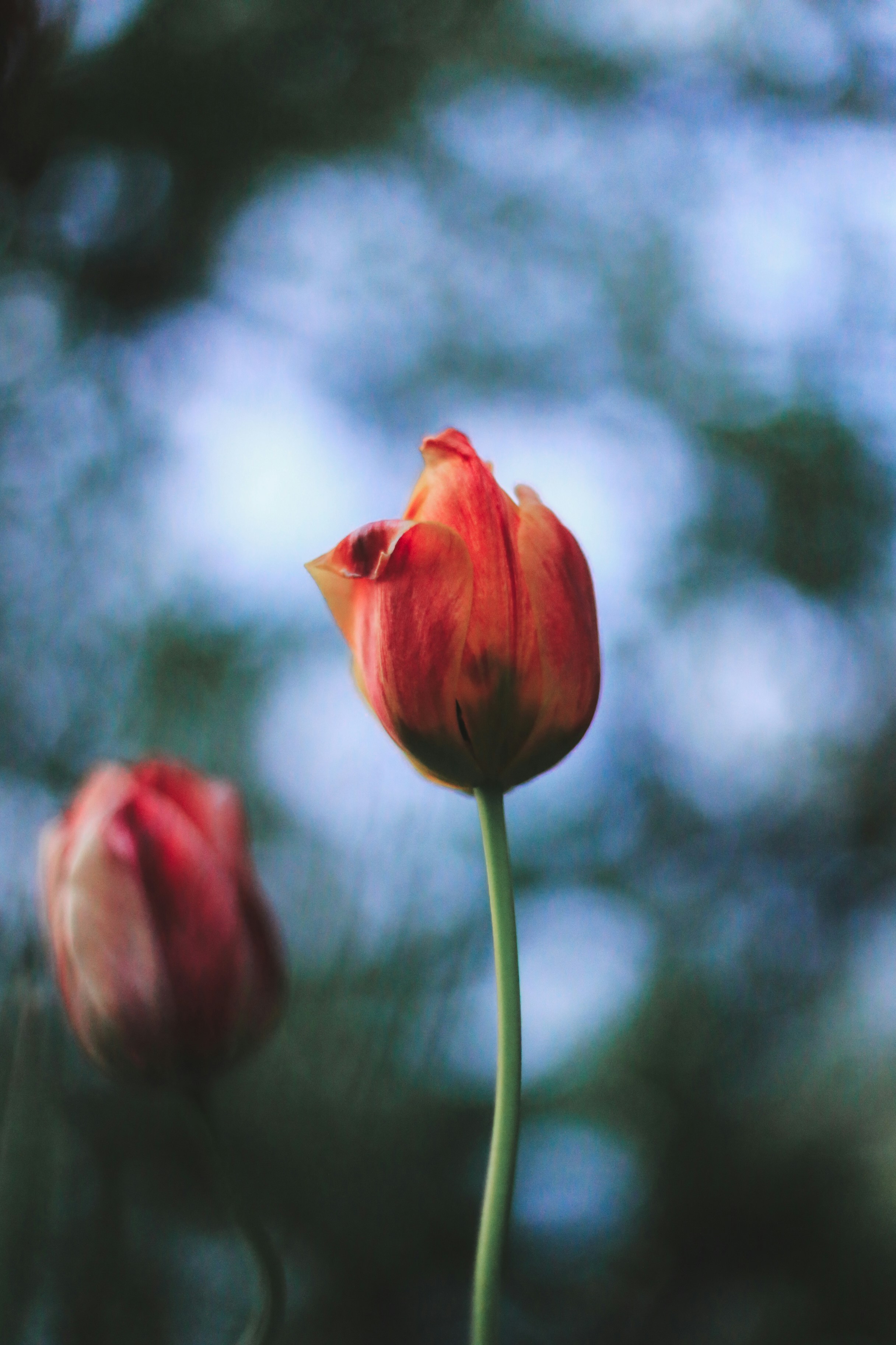 Photo by jessicalfadel