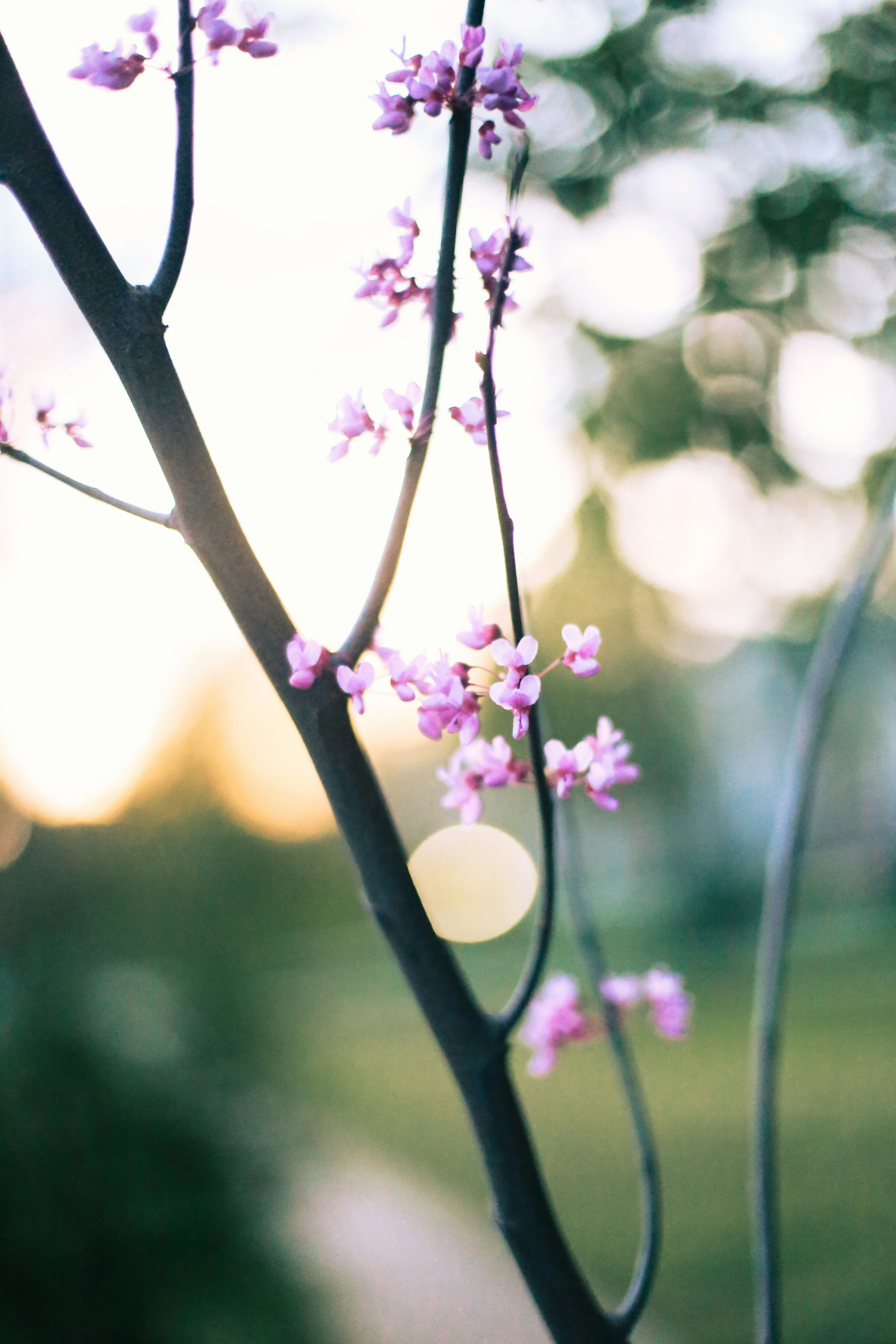 Photo by jessicalfadel