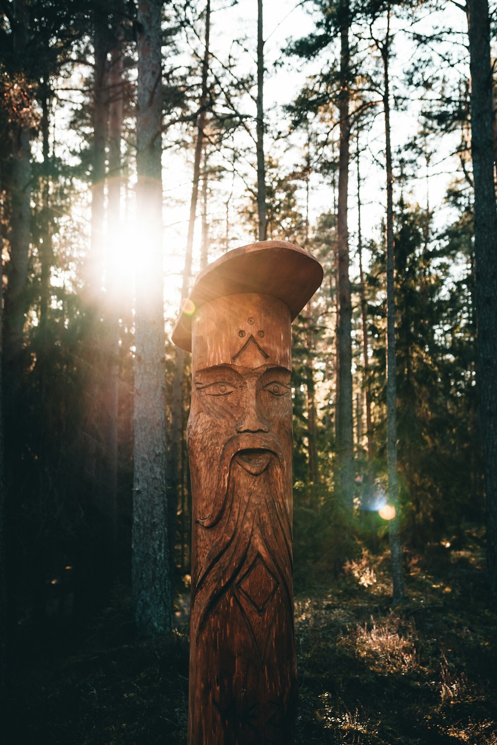 brown wooden statue in forest during daytime