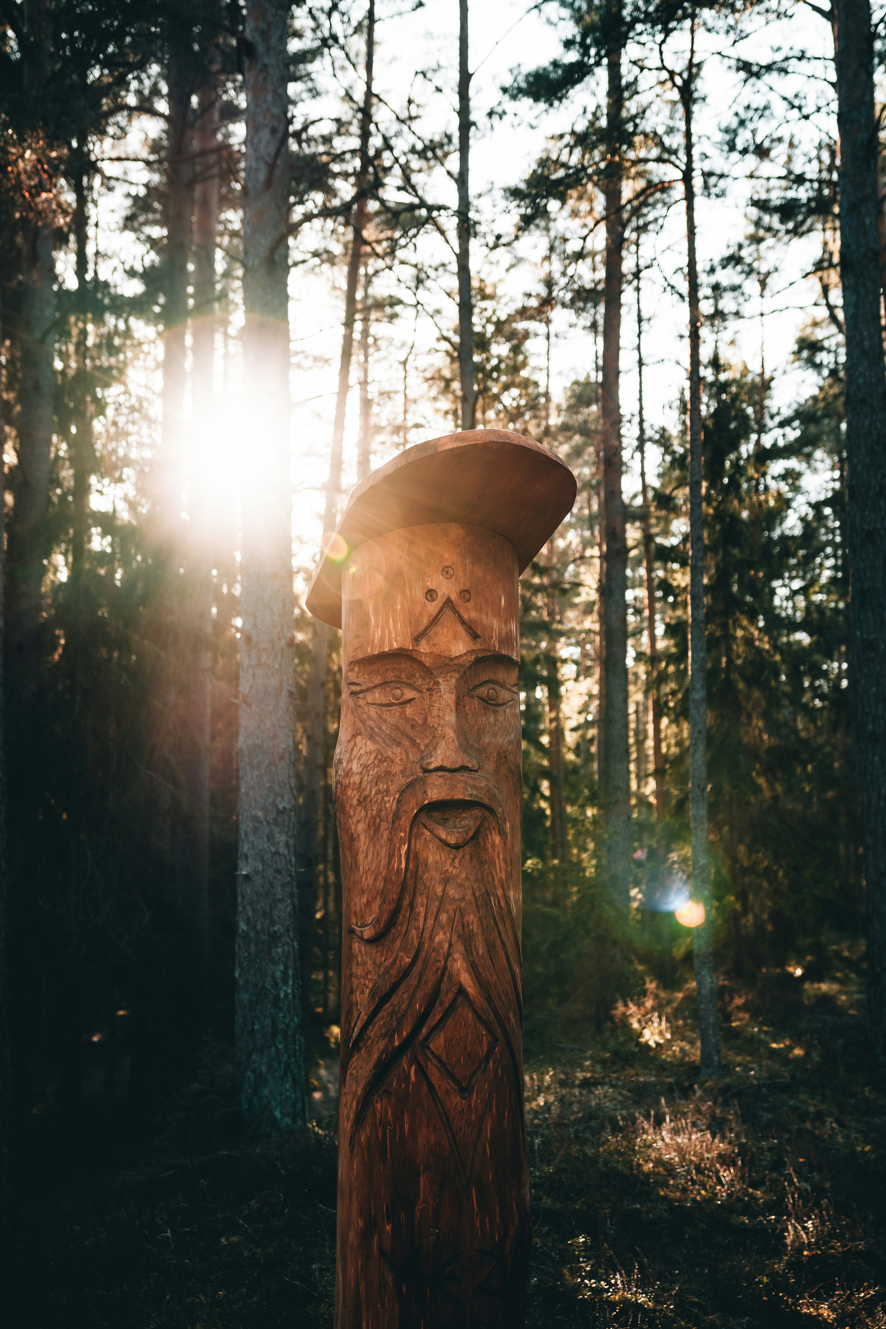 brown wooden statue in forest during daytime