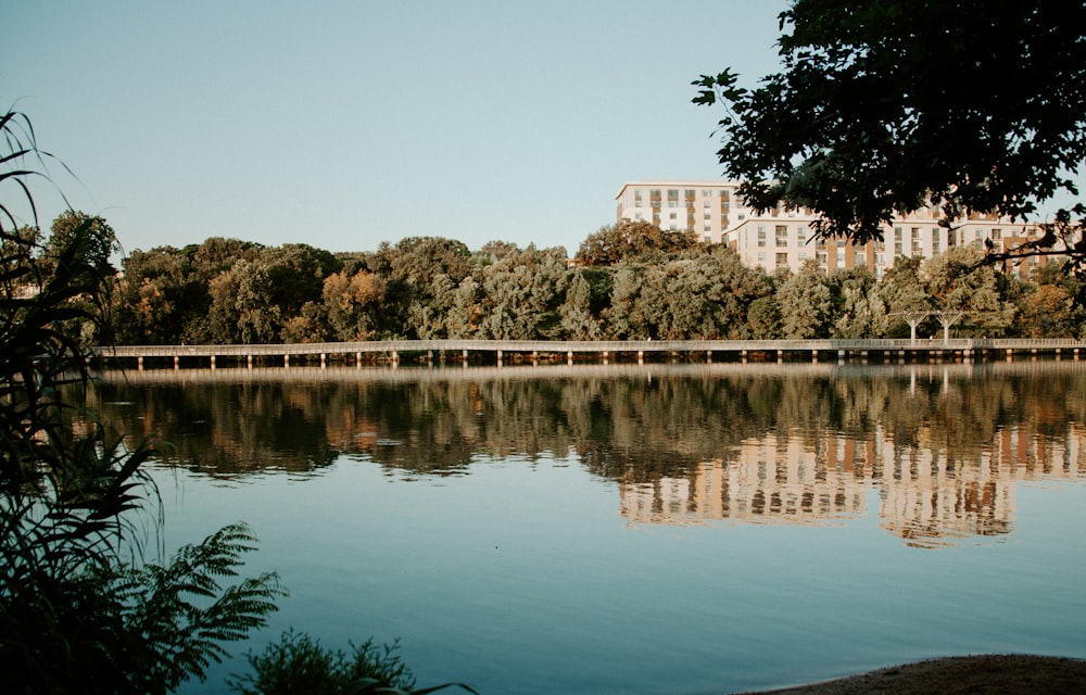 white concrete building near body of water during daytime