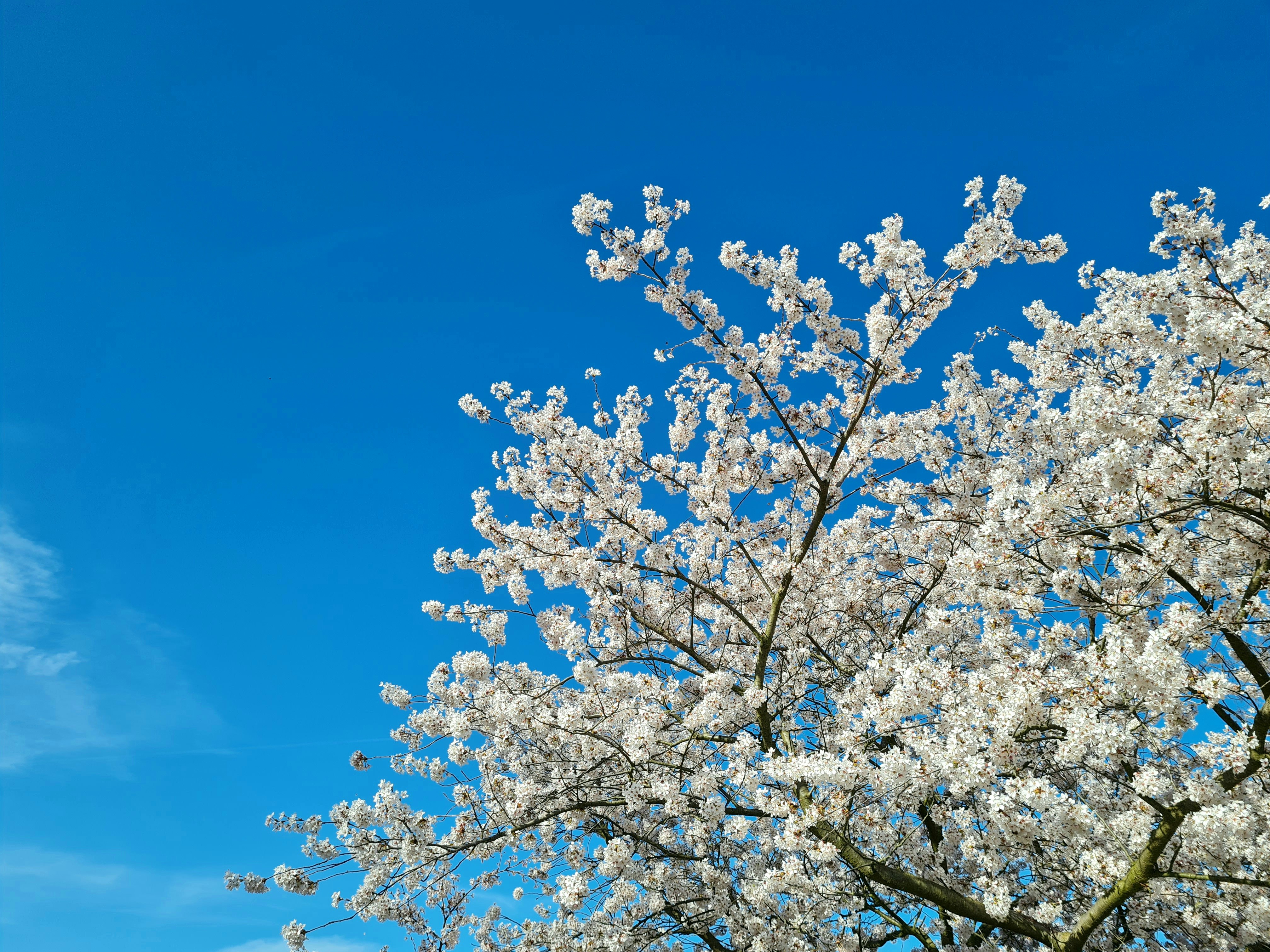 Photo by loucheberry