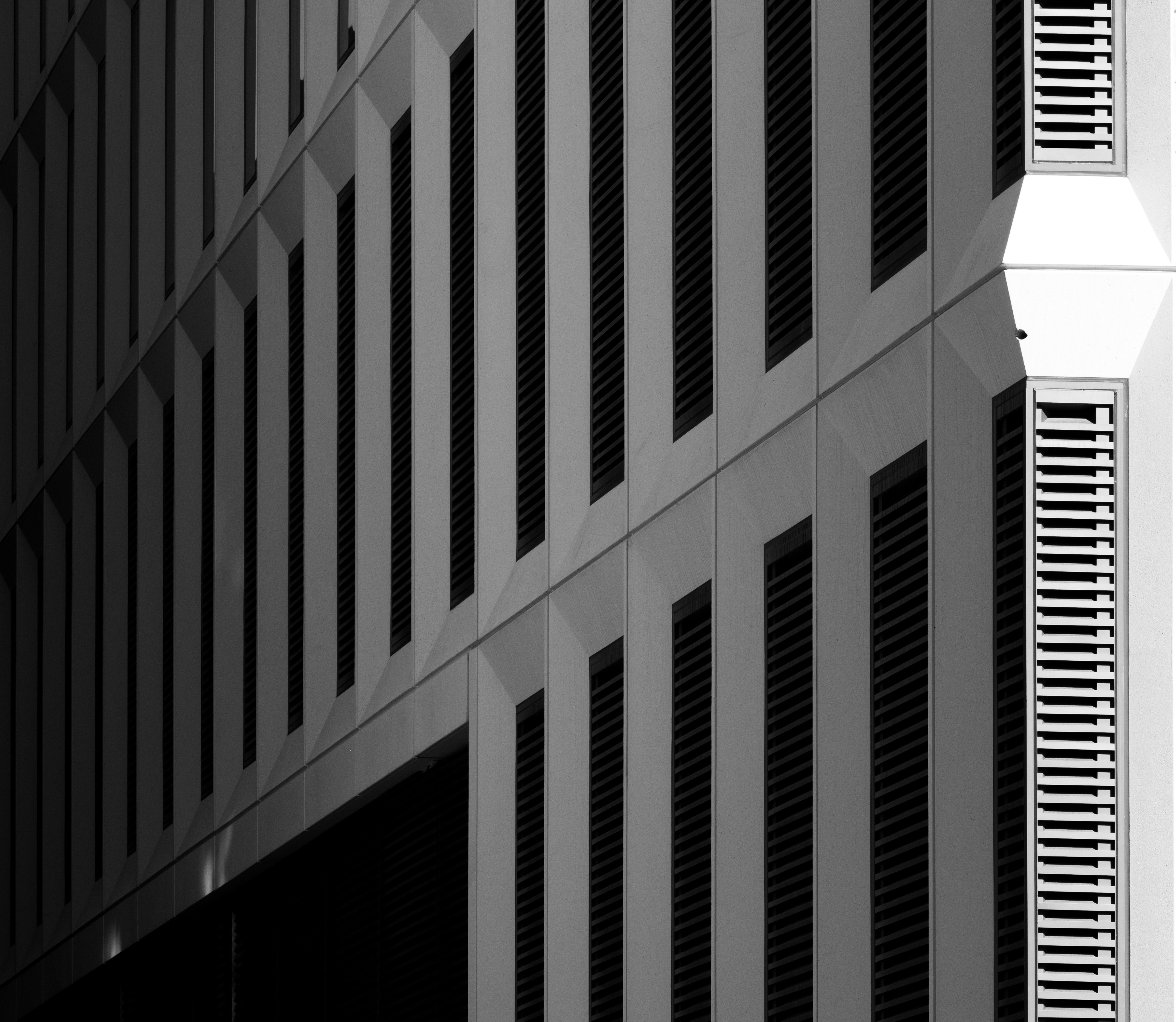 Photo by parsoakhorsand