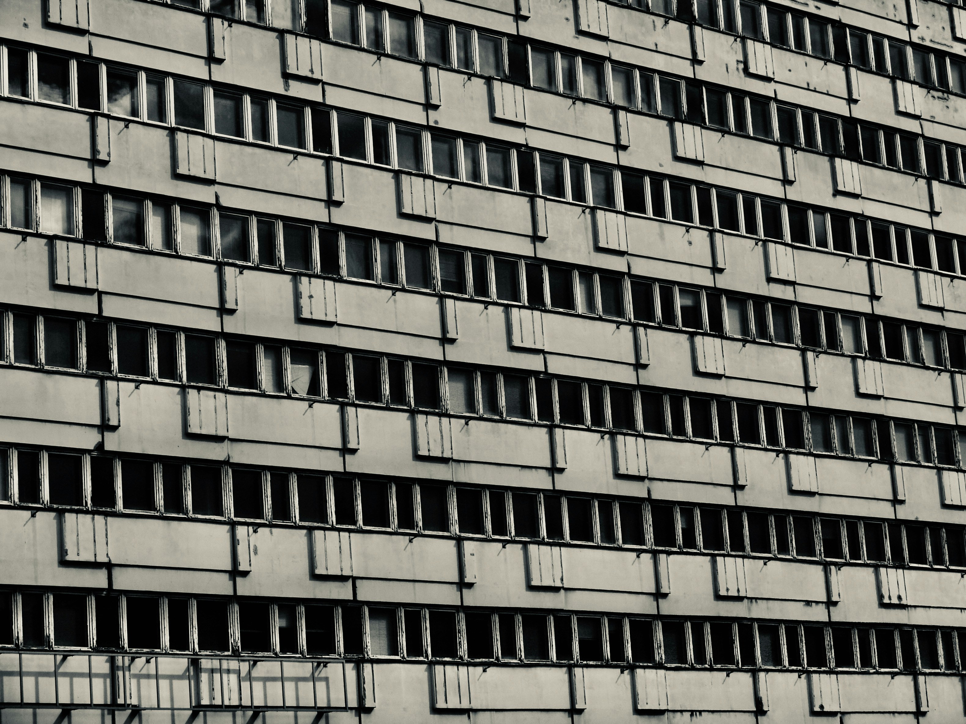 Photo by peterburdon