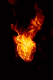 orange and yellow fire illustration