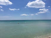 Icons representing water quality sensors along the coast.