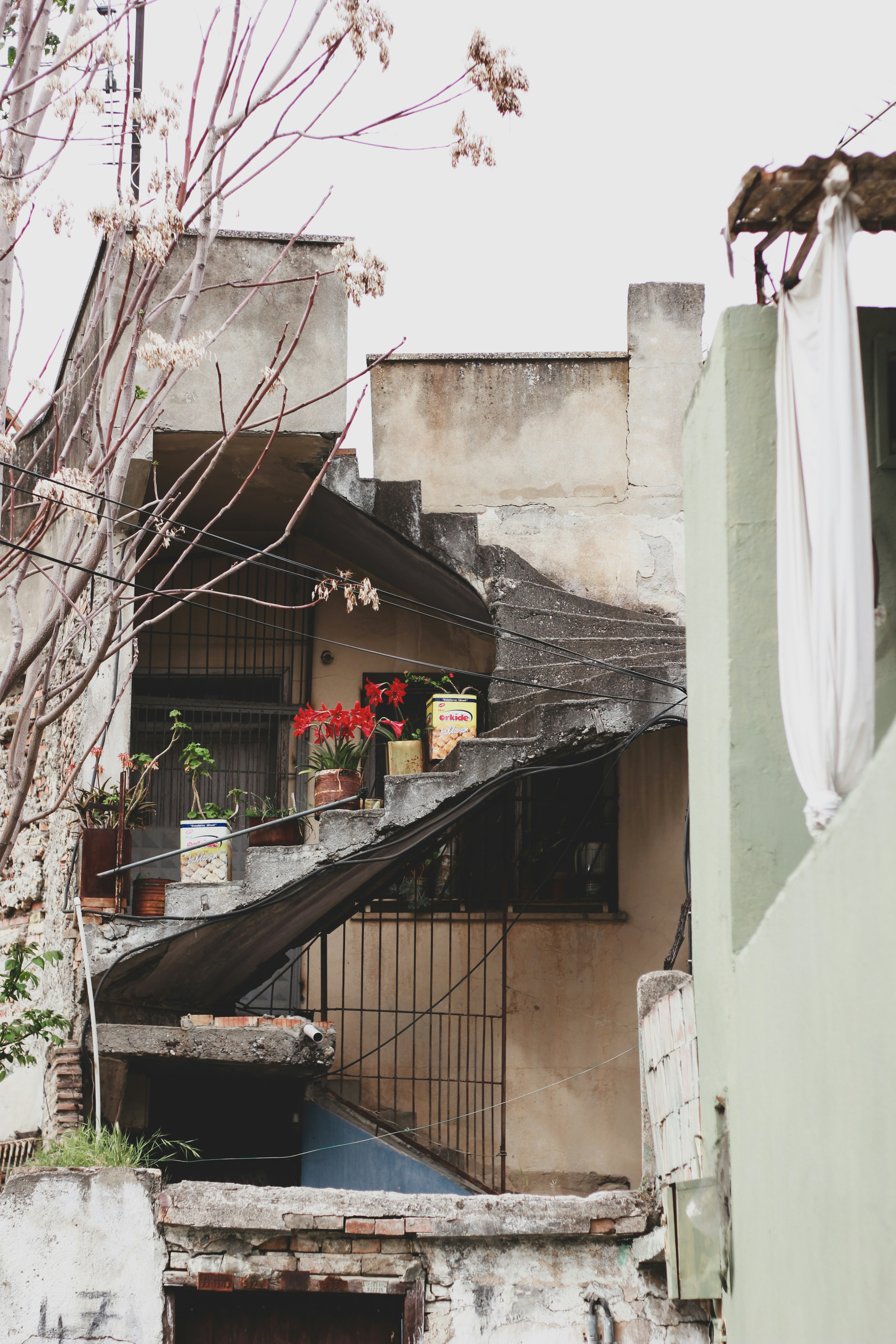 Photo by sudanmerinosu