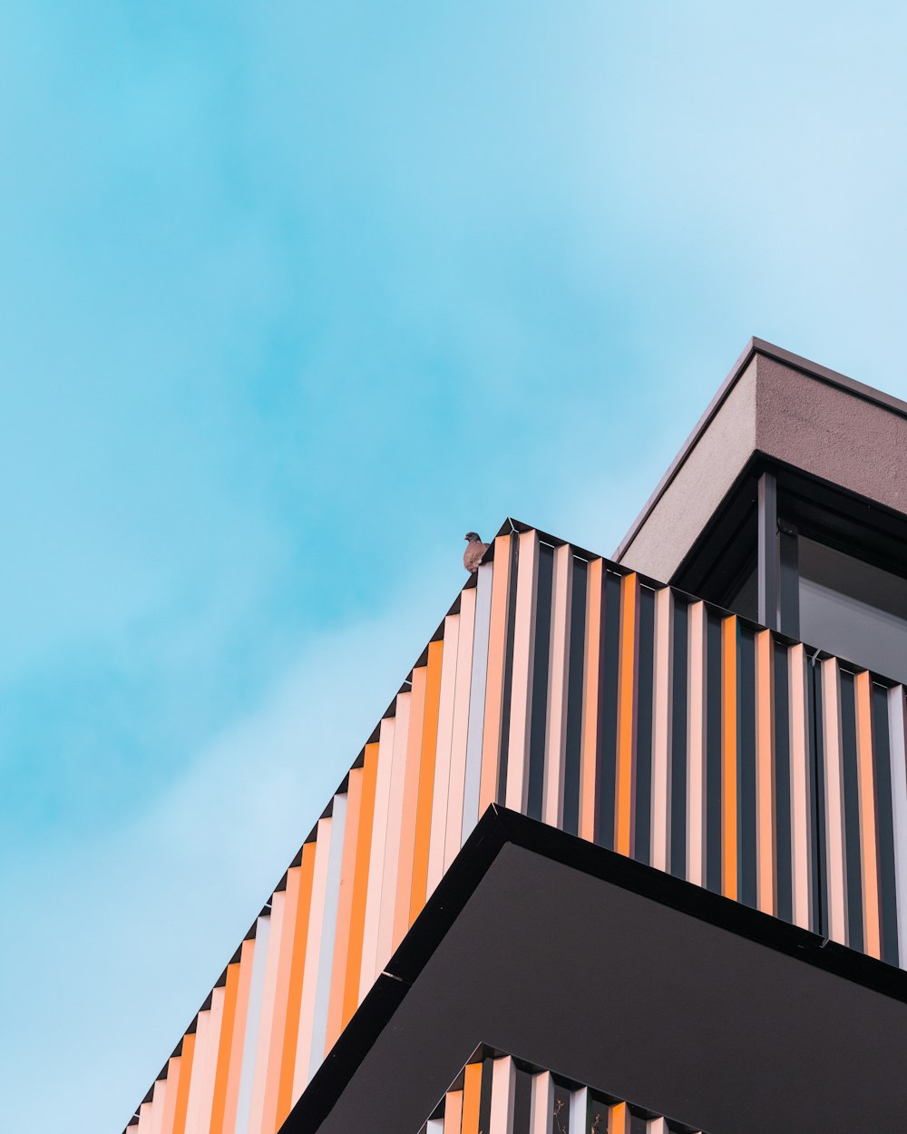 orange and white concrete building