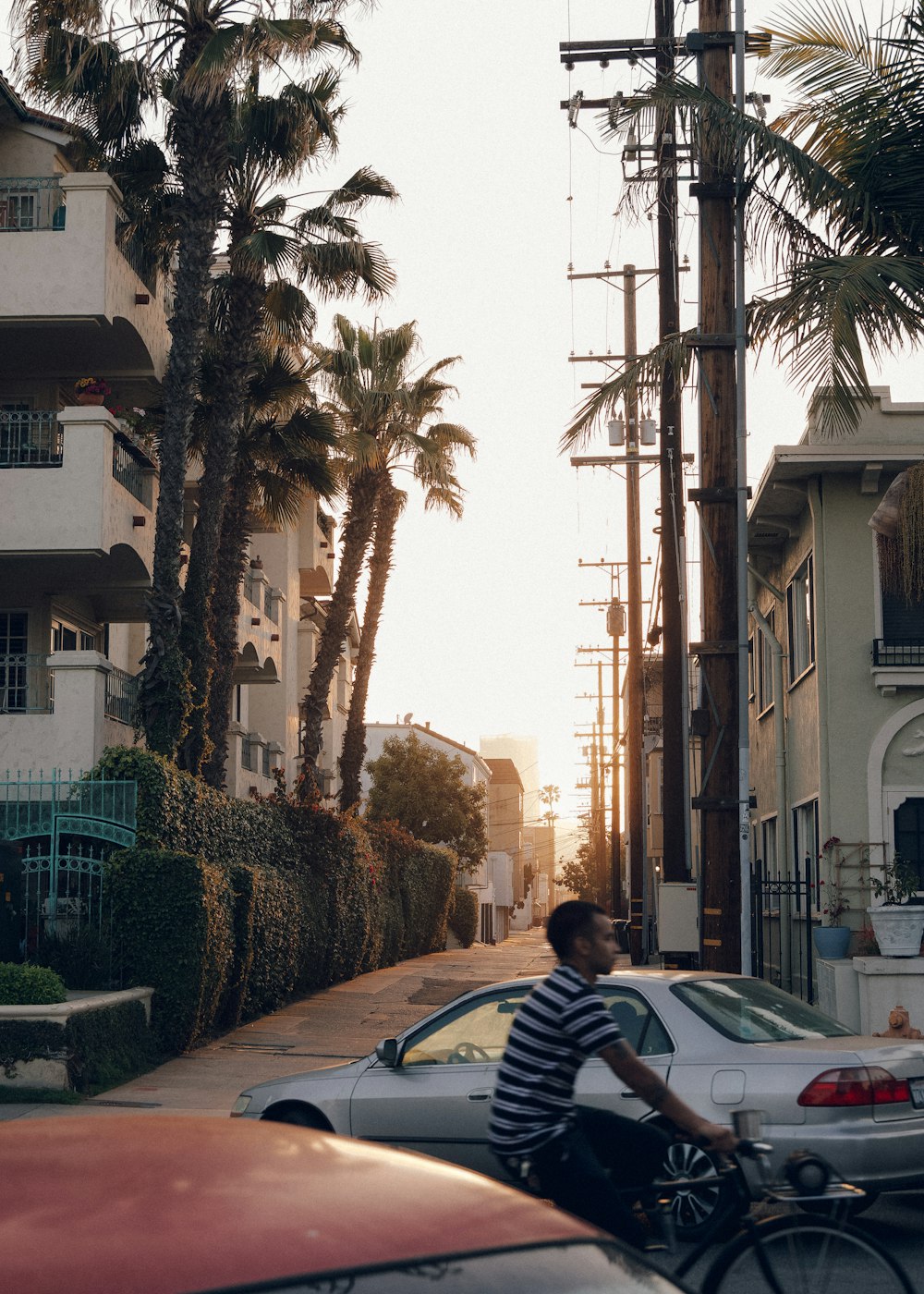 man in black and white stripe shirt sitting on bench near palm trees during daytime