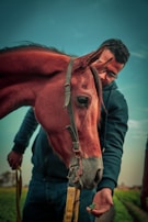 A person with short hair, wearing glasses and a dark jacket, is gently feeding a brown horse with a piece of greenery in their hand. The horse has a bridle on, and both are outdoors with a clear sky and open field in the background.