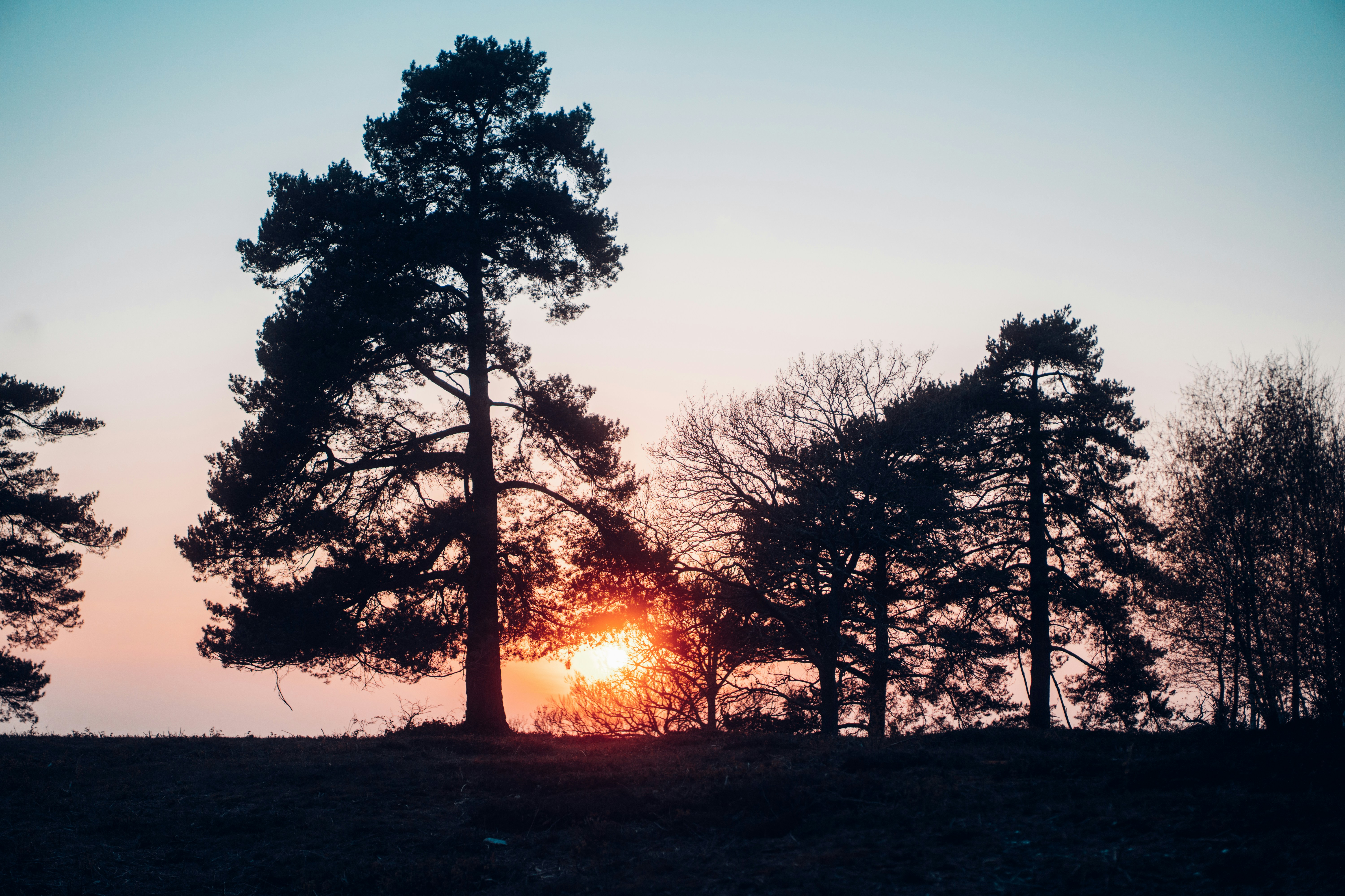학교 꿈 학교 관련 꿈해몽
