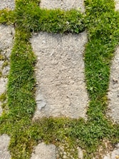 A close-up view of a roughly textured concrete surface with vibrant green grass growing in a rectangular outline around a central stone. The grass appears lush and healthy, contrasting with the coarse, gray concrete.