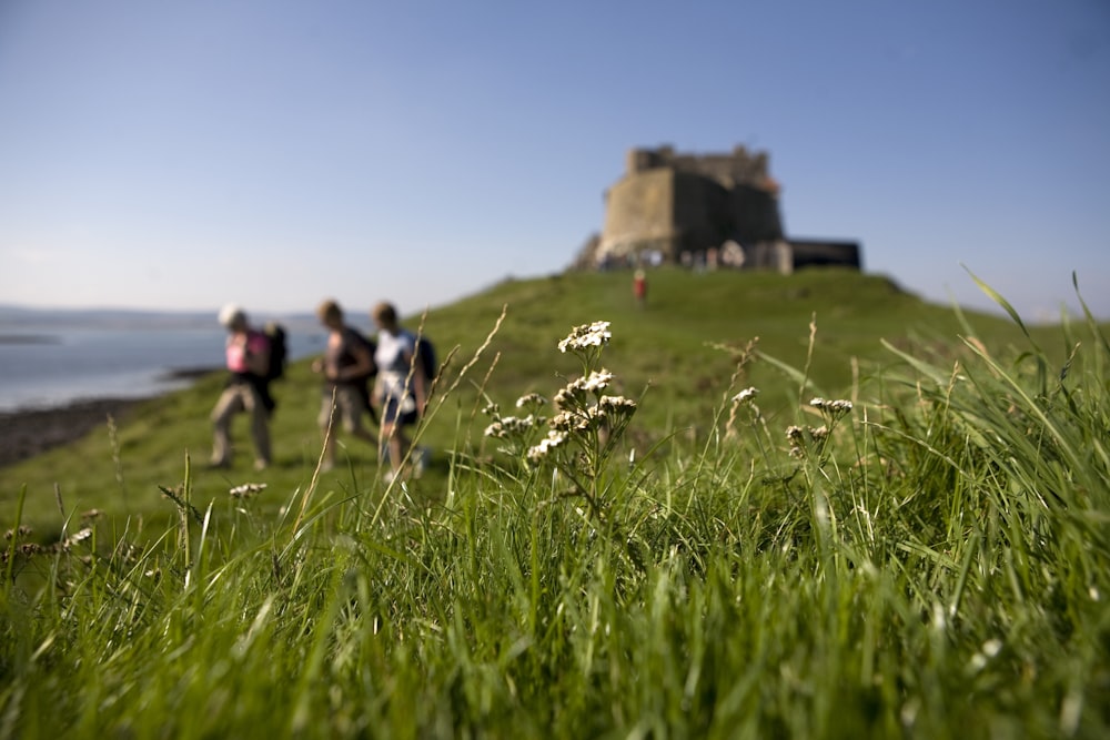 people walking on green grass field during daytime