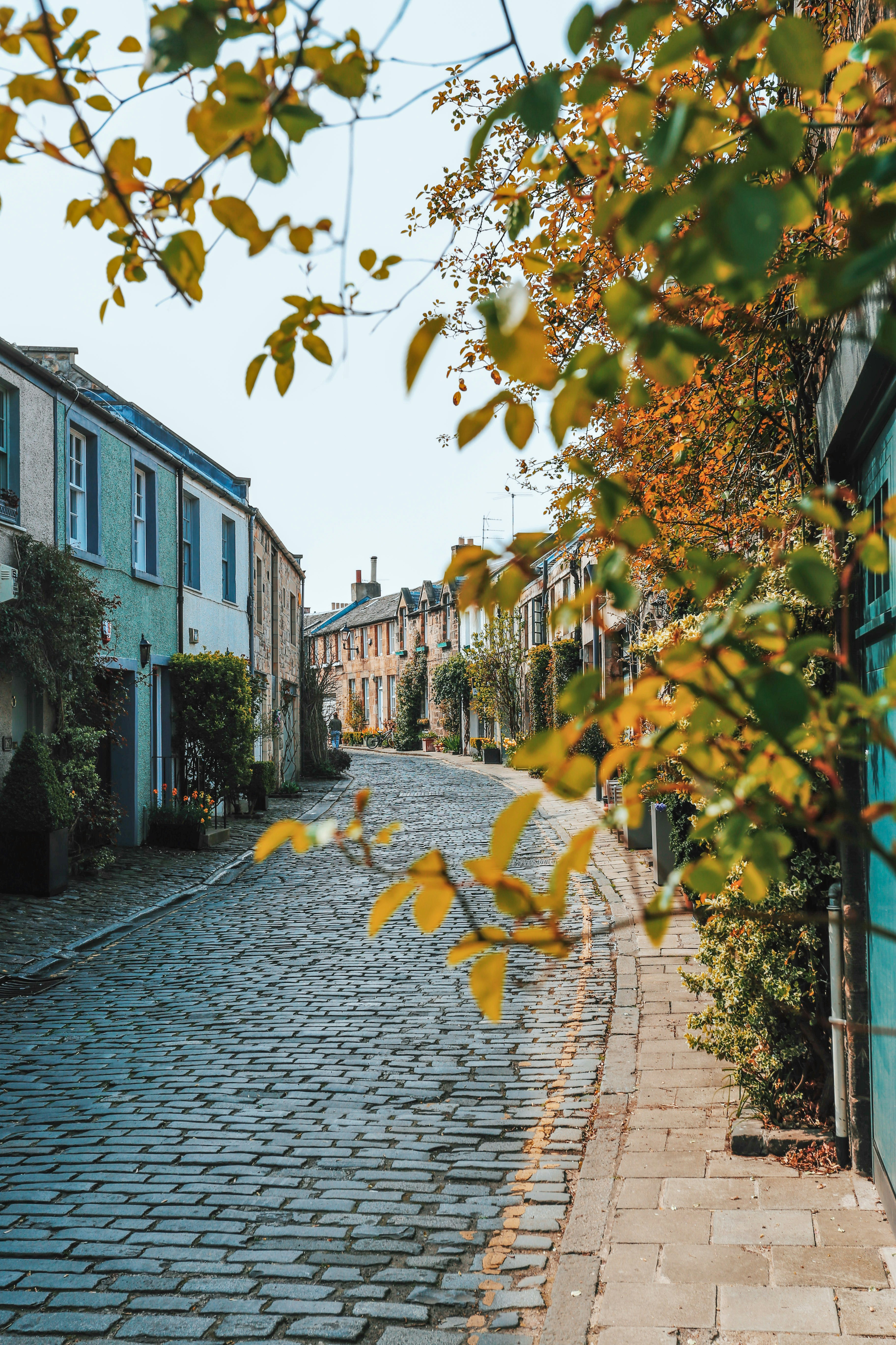 Photo by sarahstewart