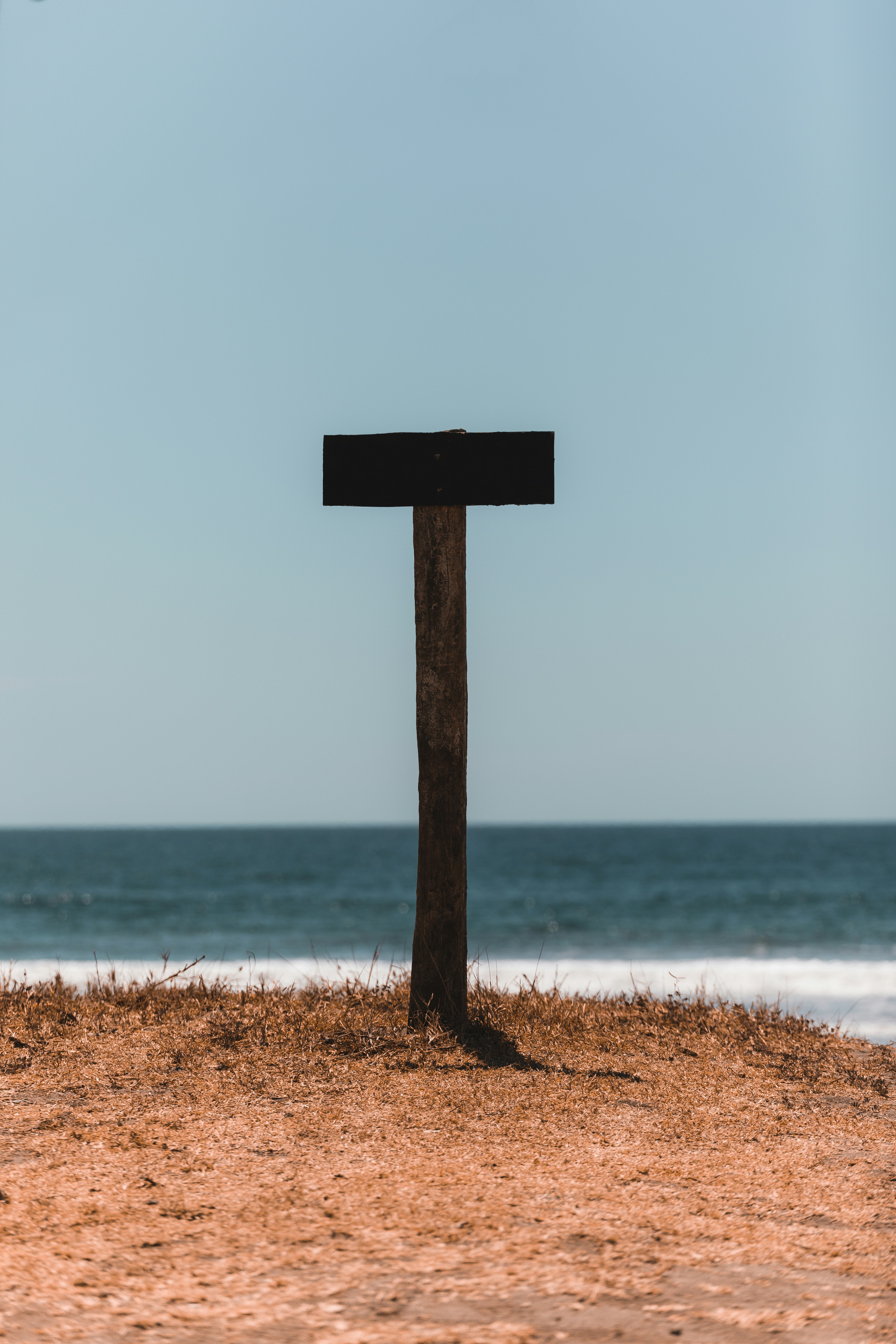 beach wood texture, wallpaper, Driftwood Crafts: Creative Ideas for Adults 1