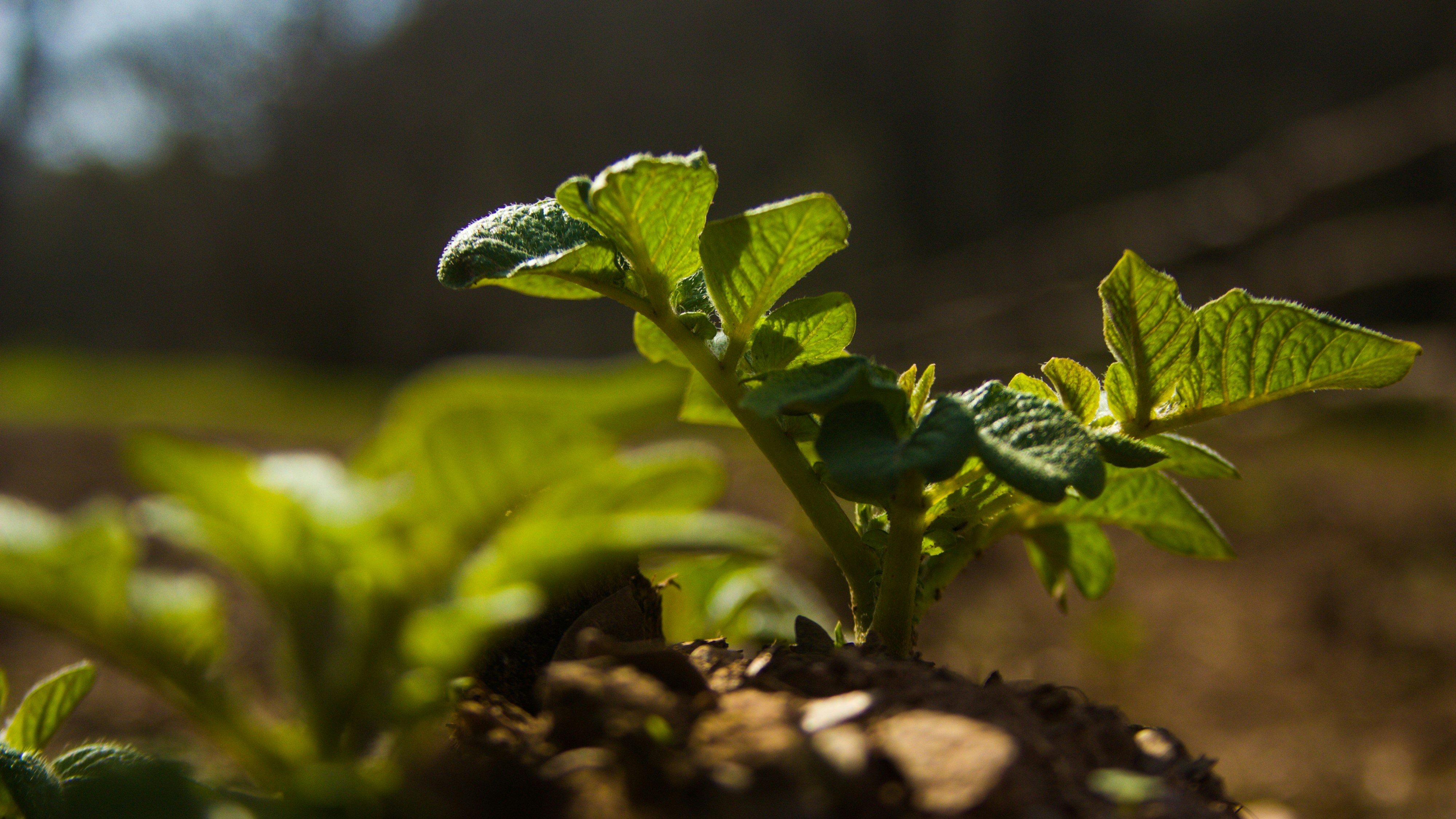 Photo by zacharyl123