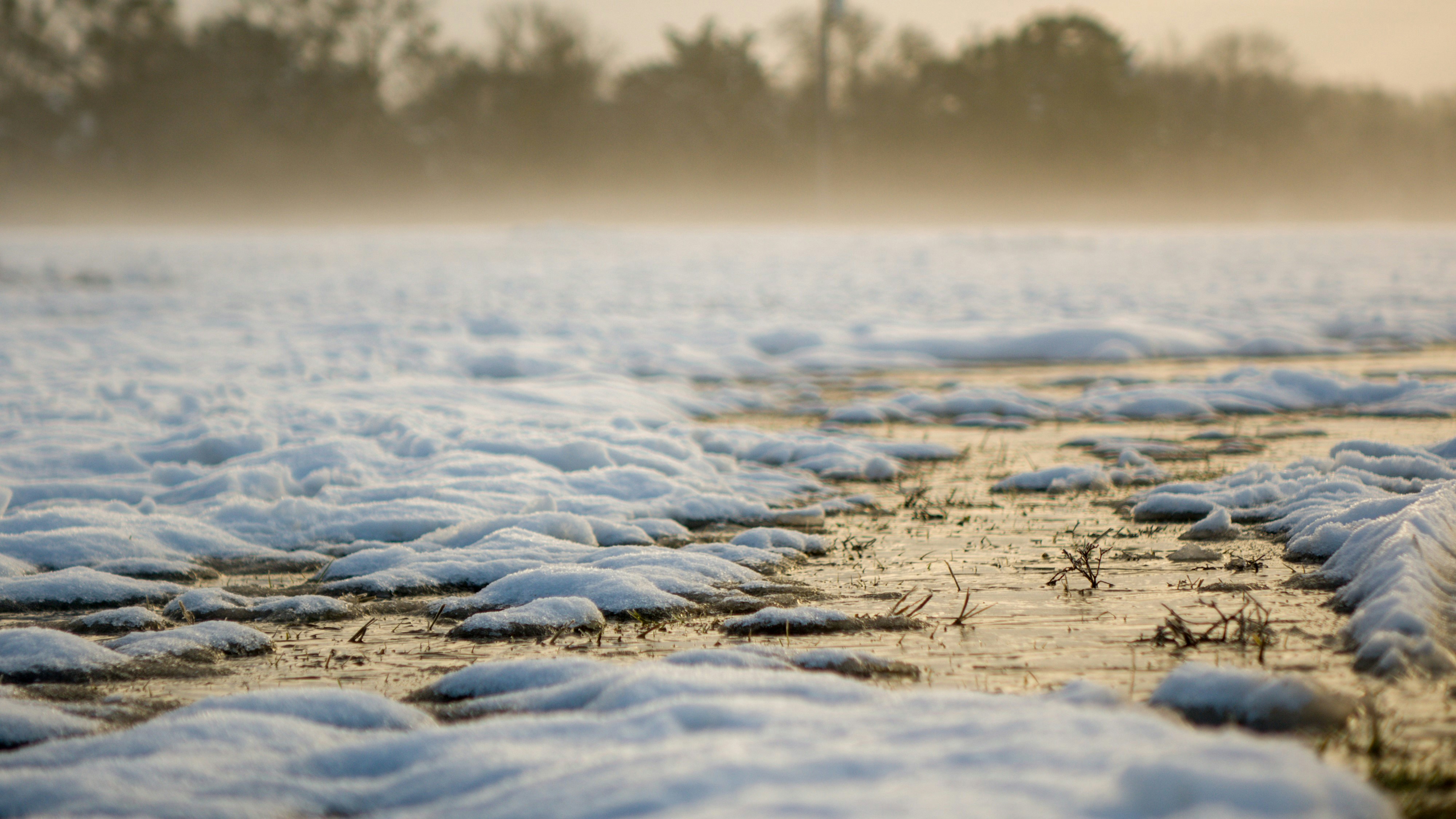 Photo by zacharyl123