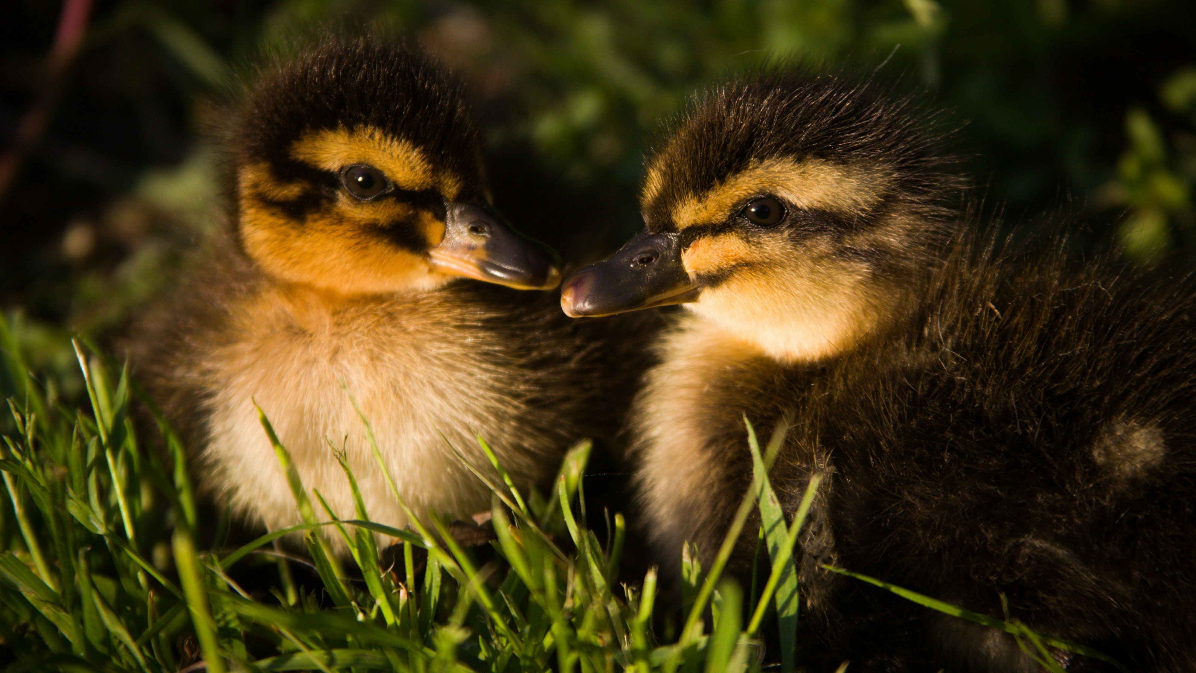 Photo by zacharyl123