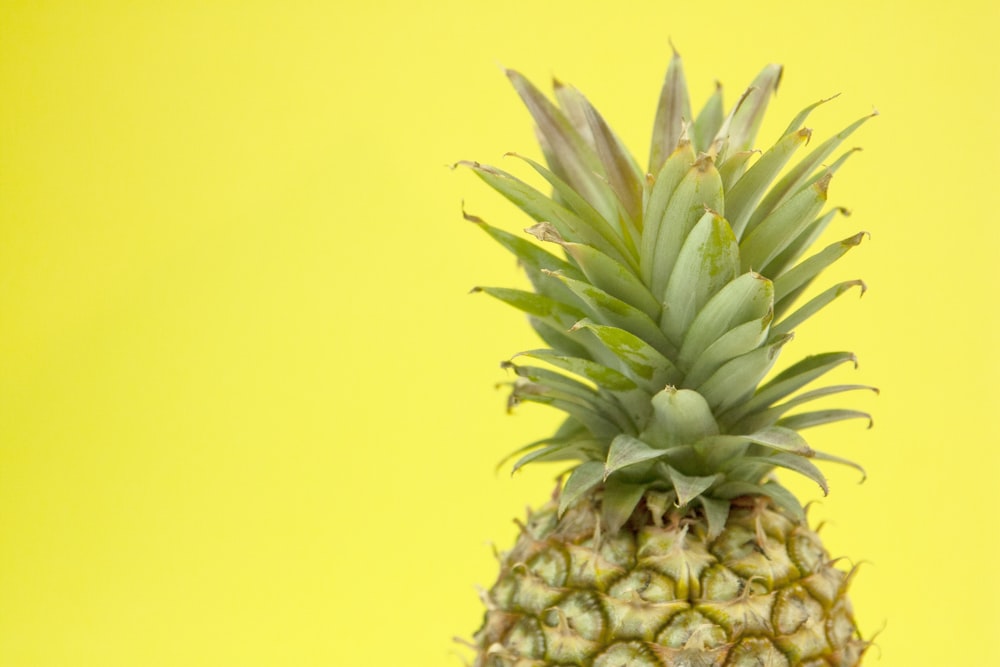 pineapple fruit on yellow background