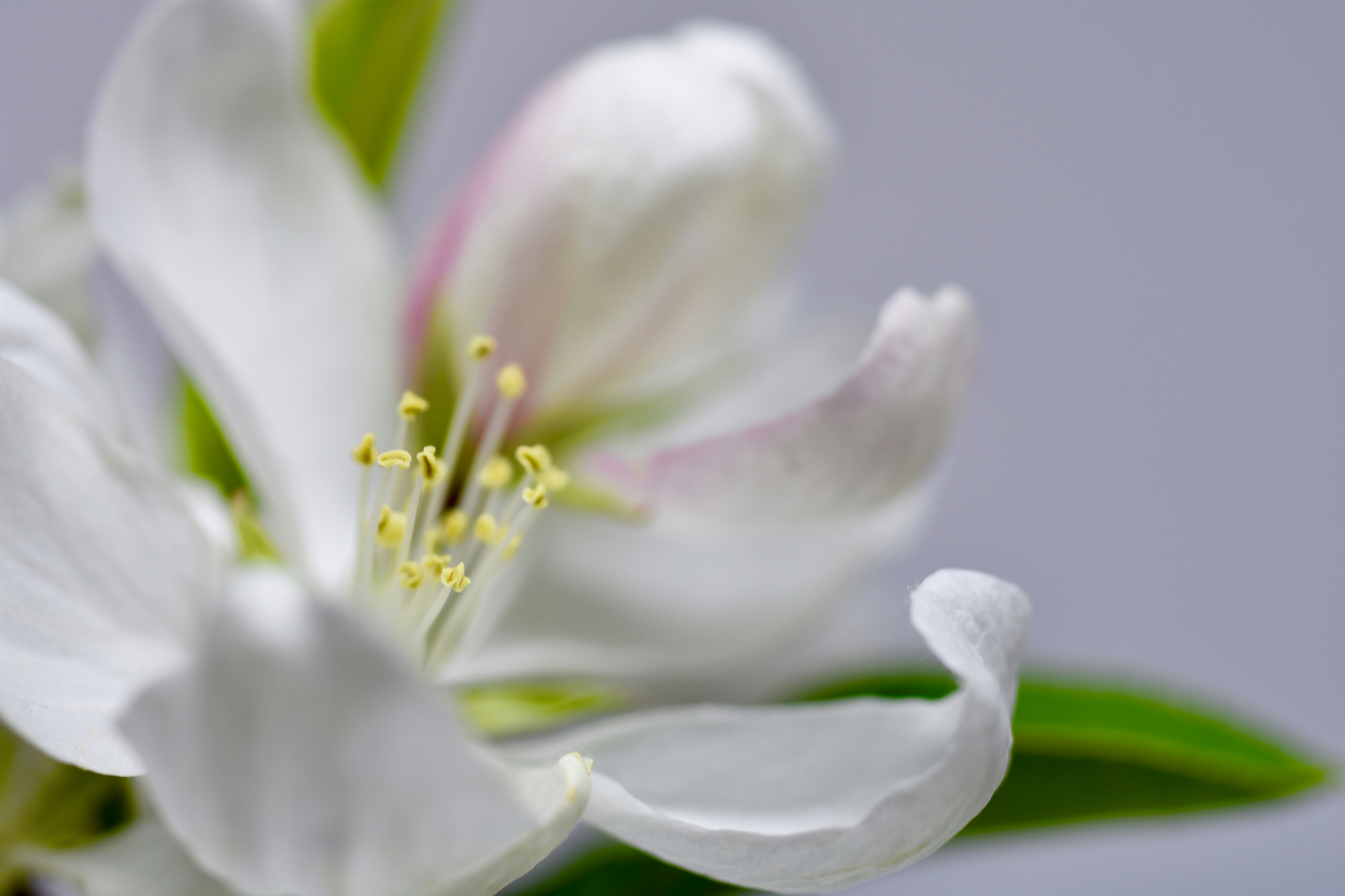 Photo by camielise77